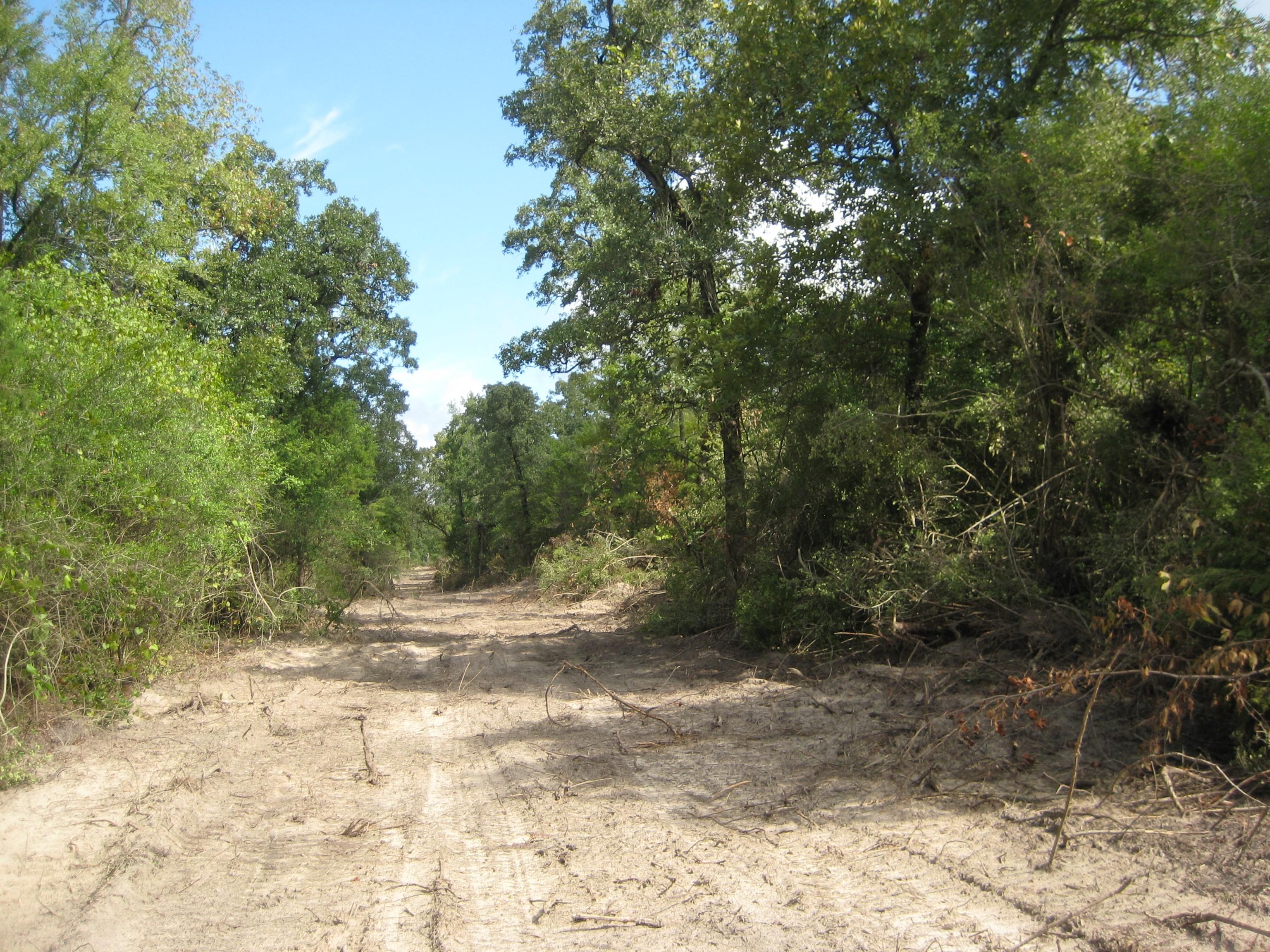 35 acres in Leon County, Texas
