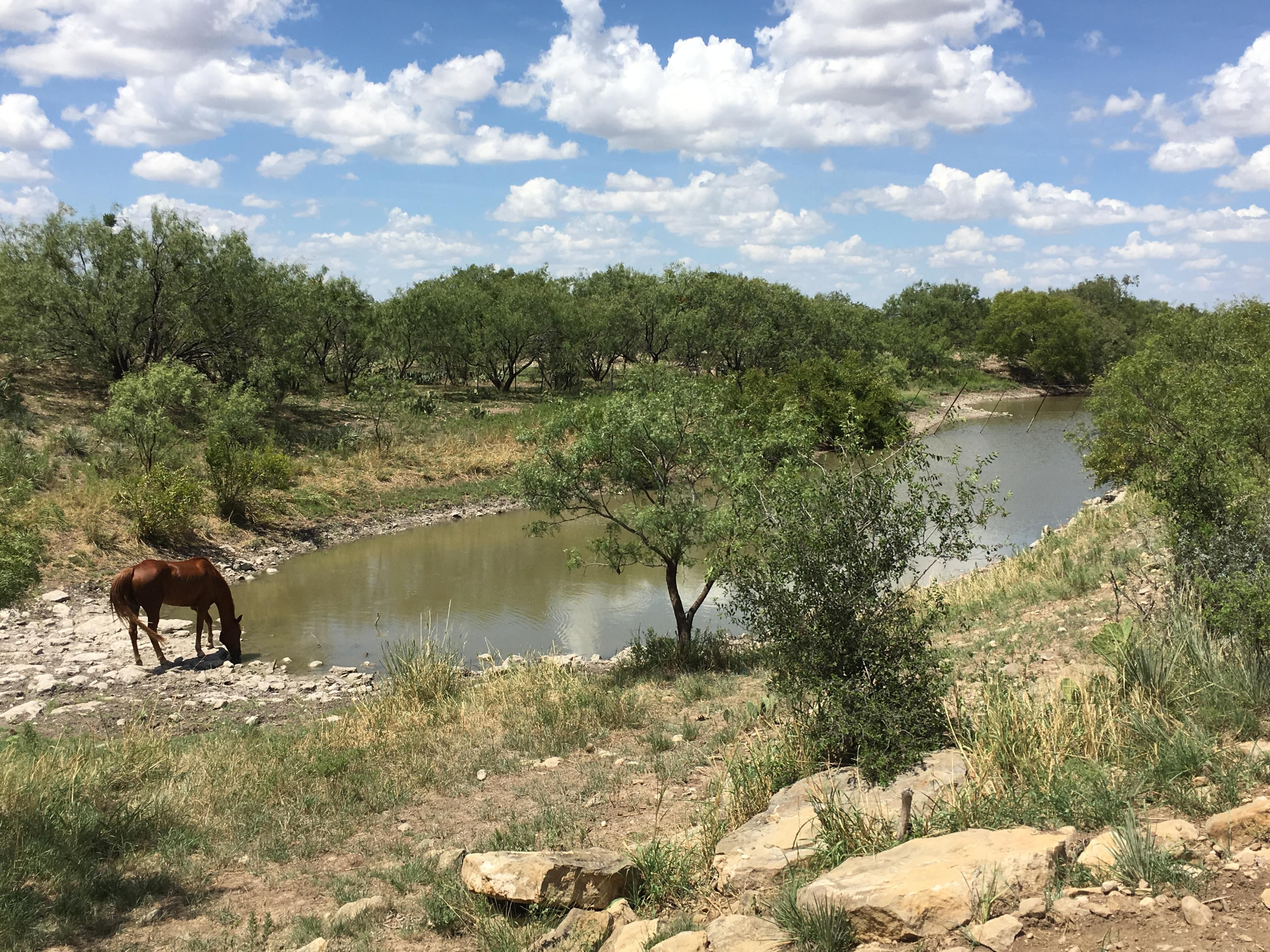 298 acres in Concho County, Texas