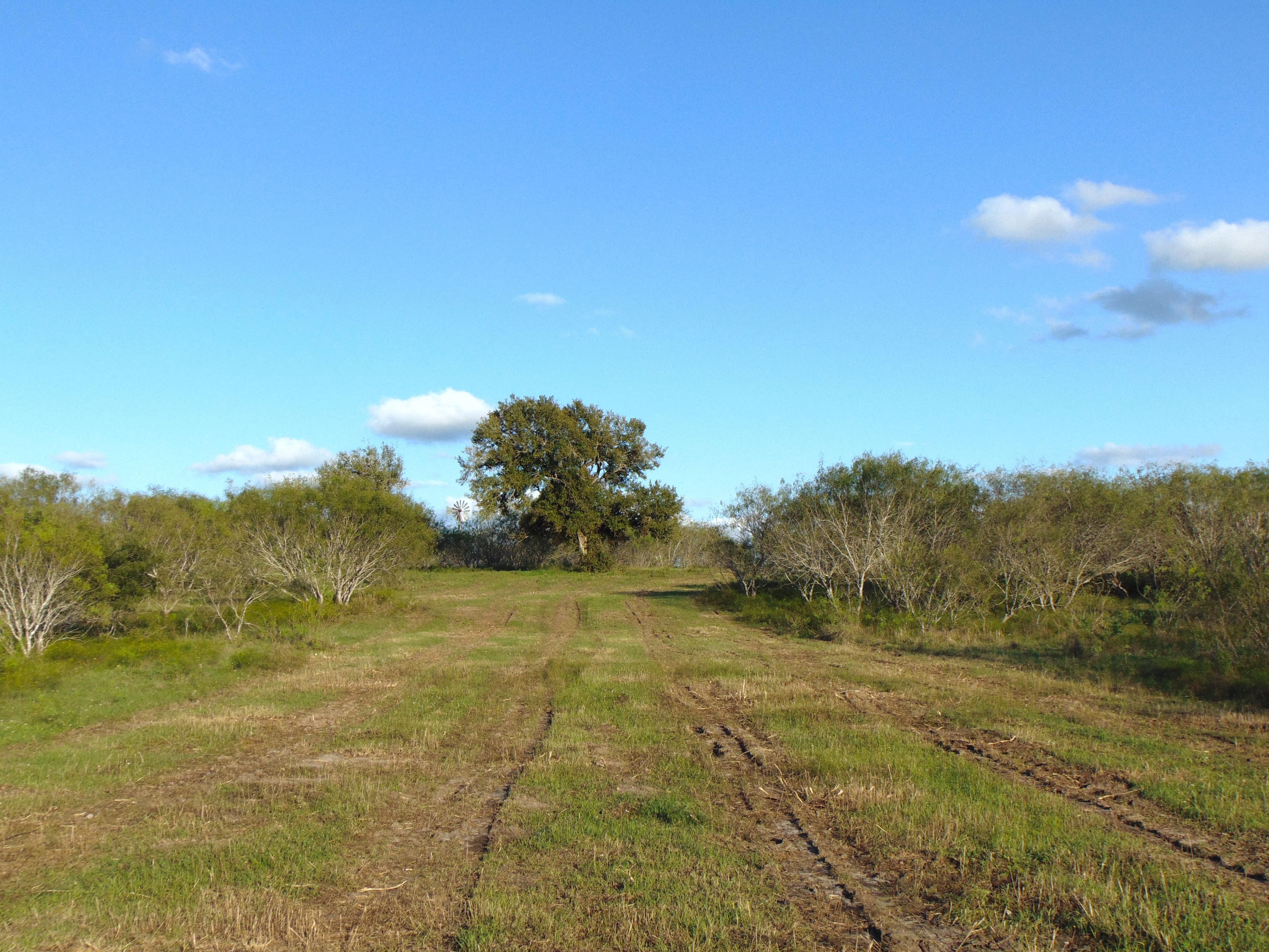102.99 acres in Gonzales County, Texas