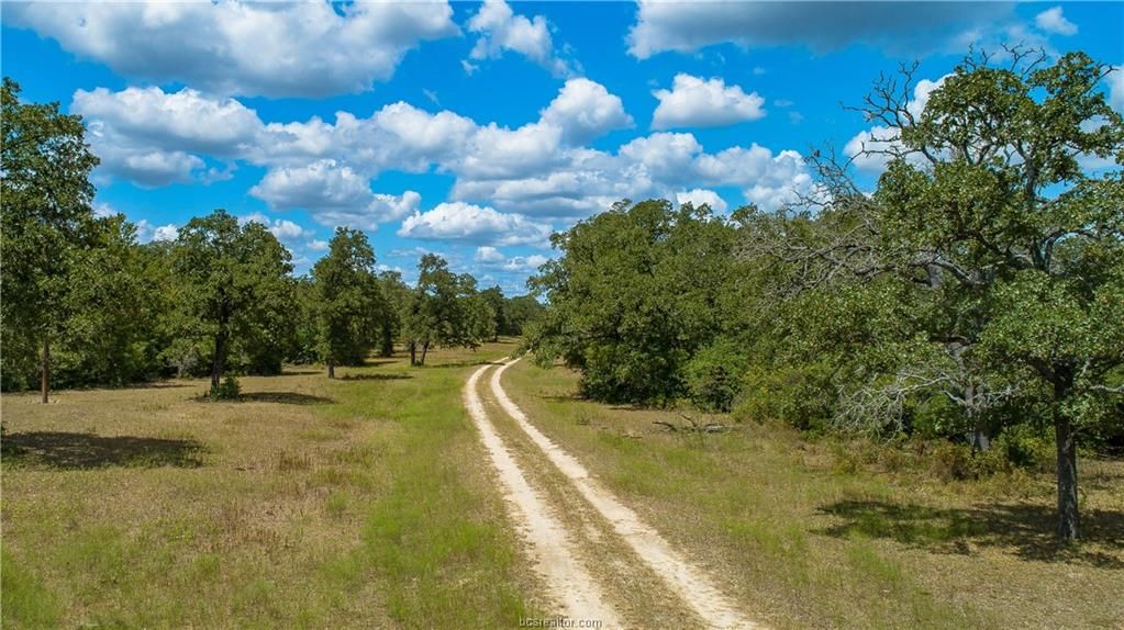 15.05 acres in Burleson County, Texas