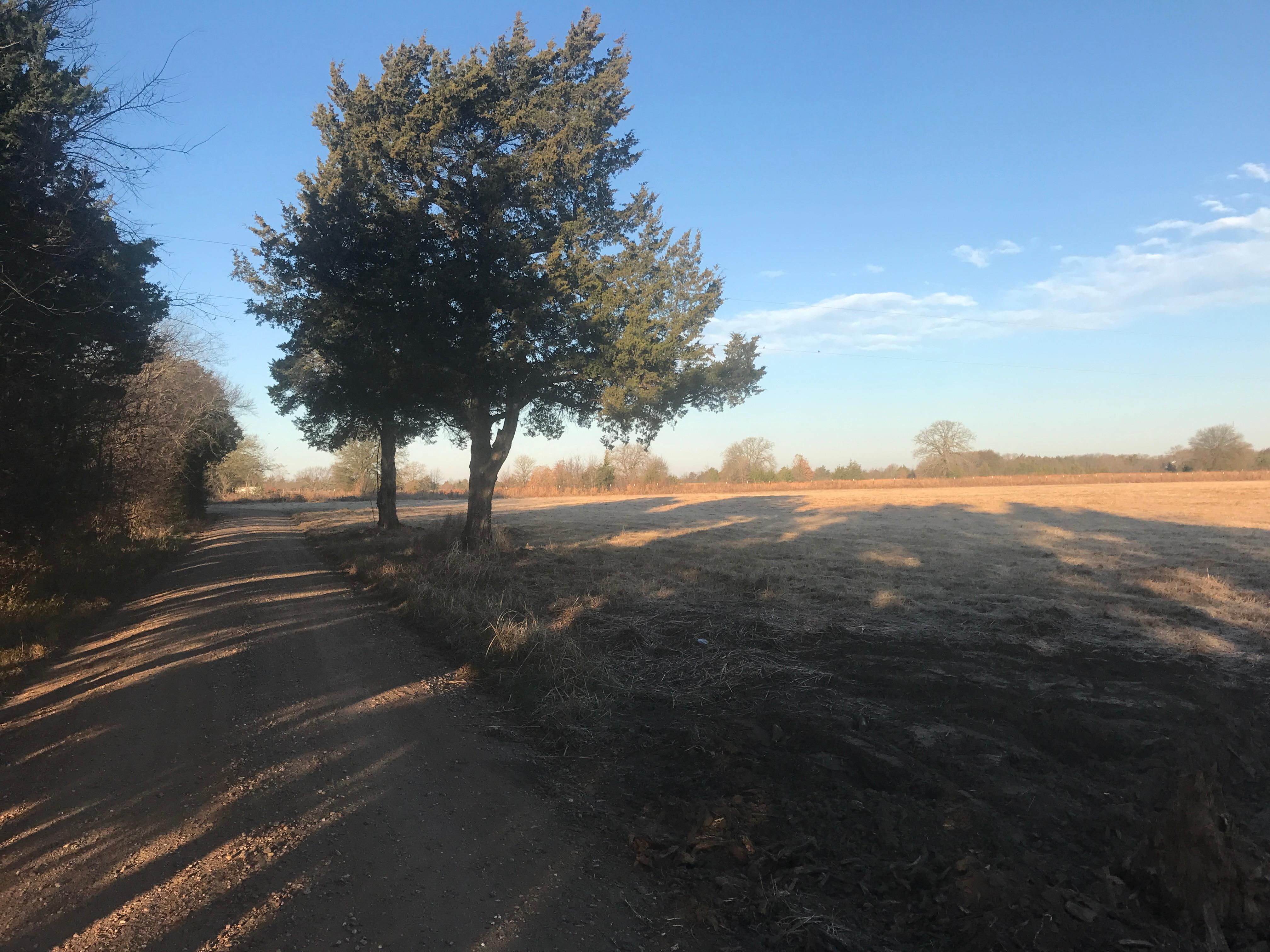 35.2 acres in Fannin County, Texas