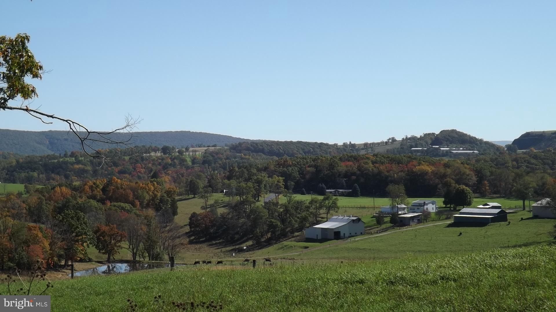 38.92 acres in Hardy County, West Virginia