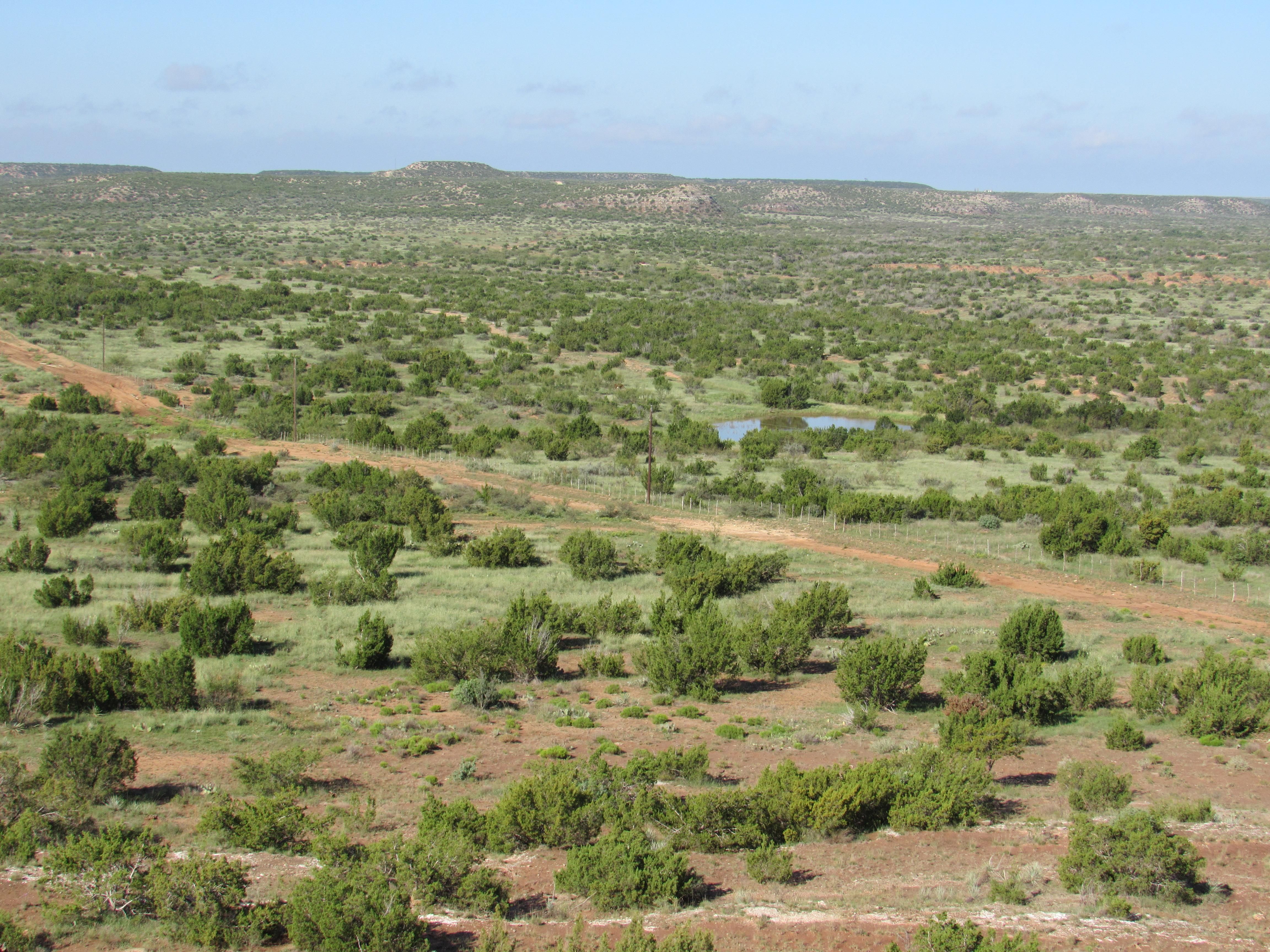 4,322.47 acres in King County, Texas