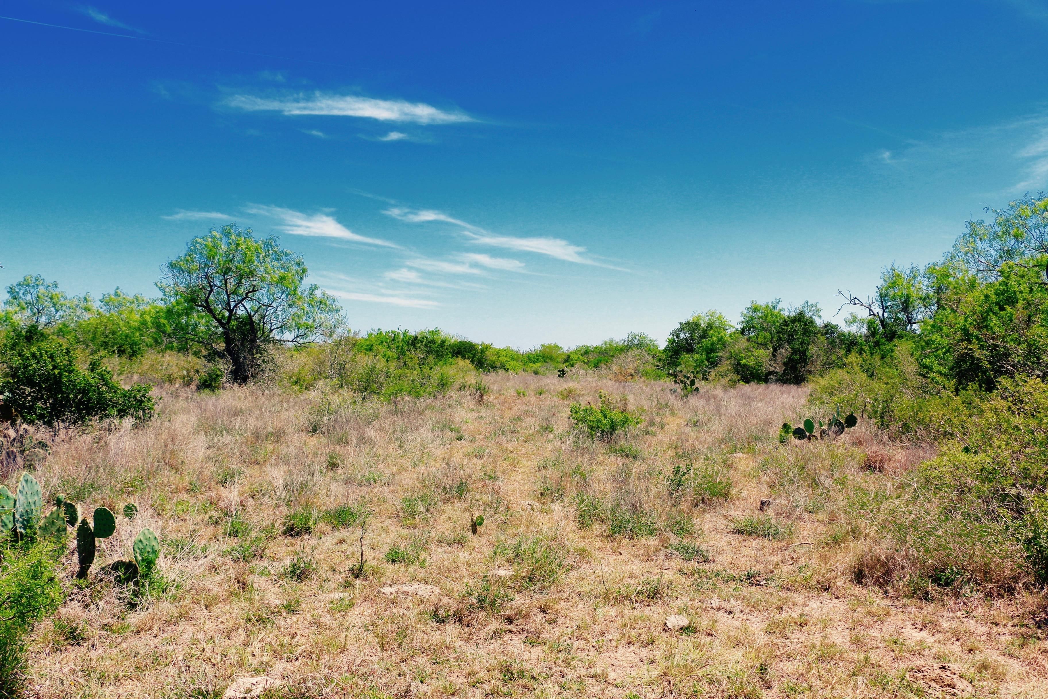 66 acres in La Salle County, Texas