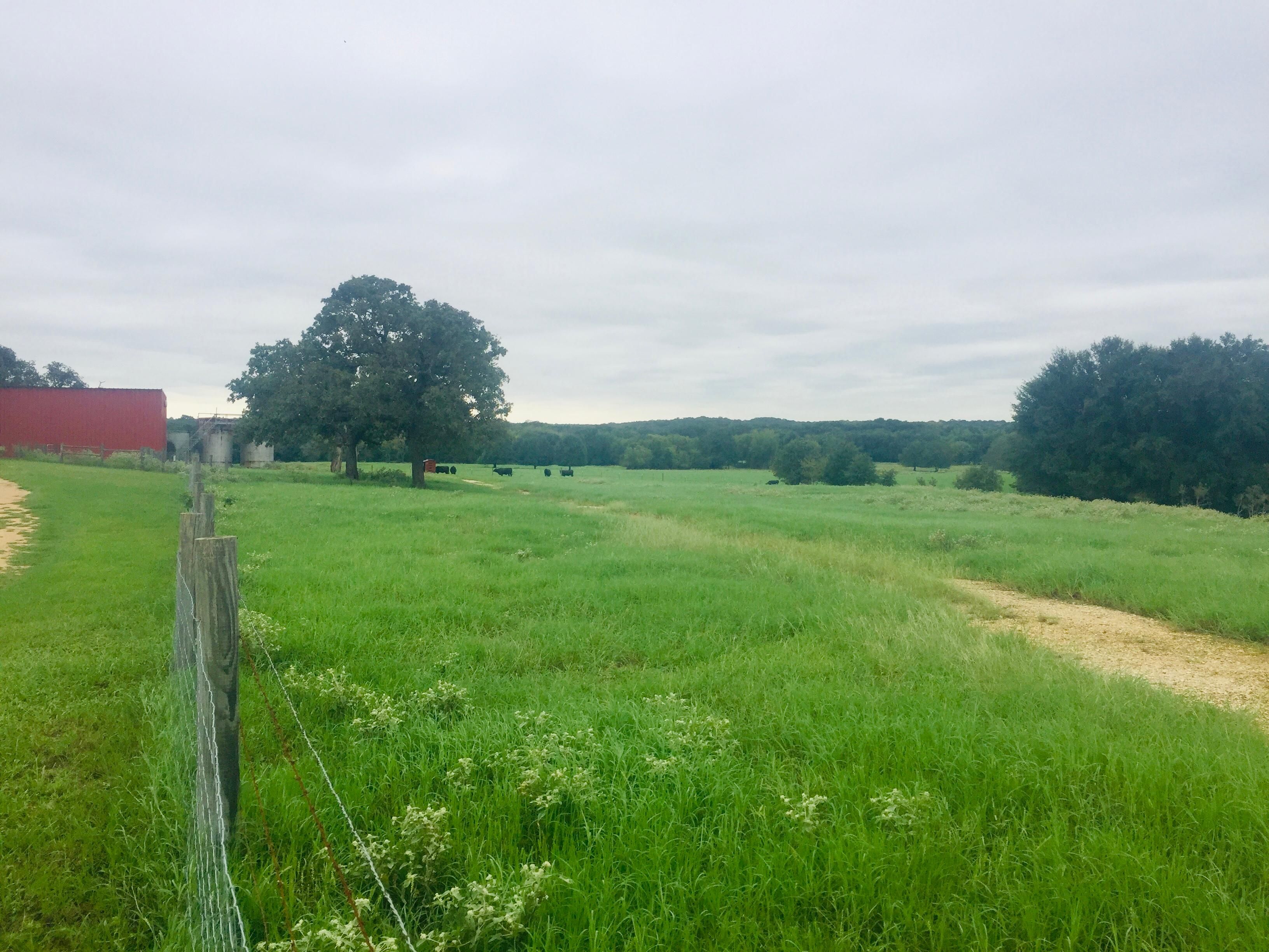 8.92 acres in Milam County, Texas