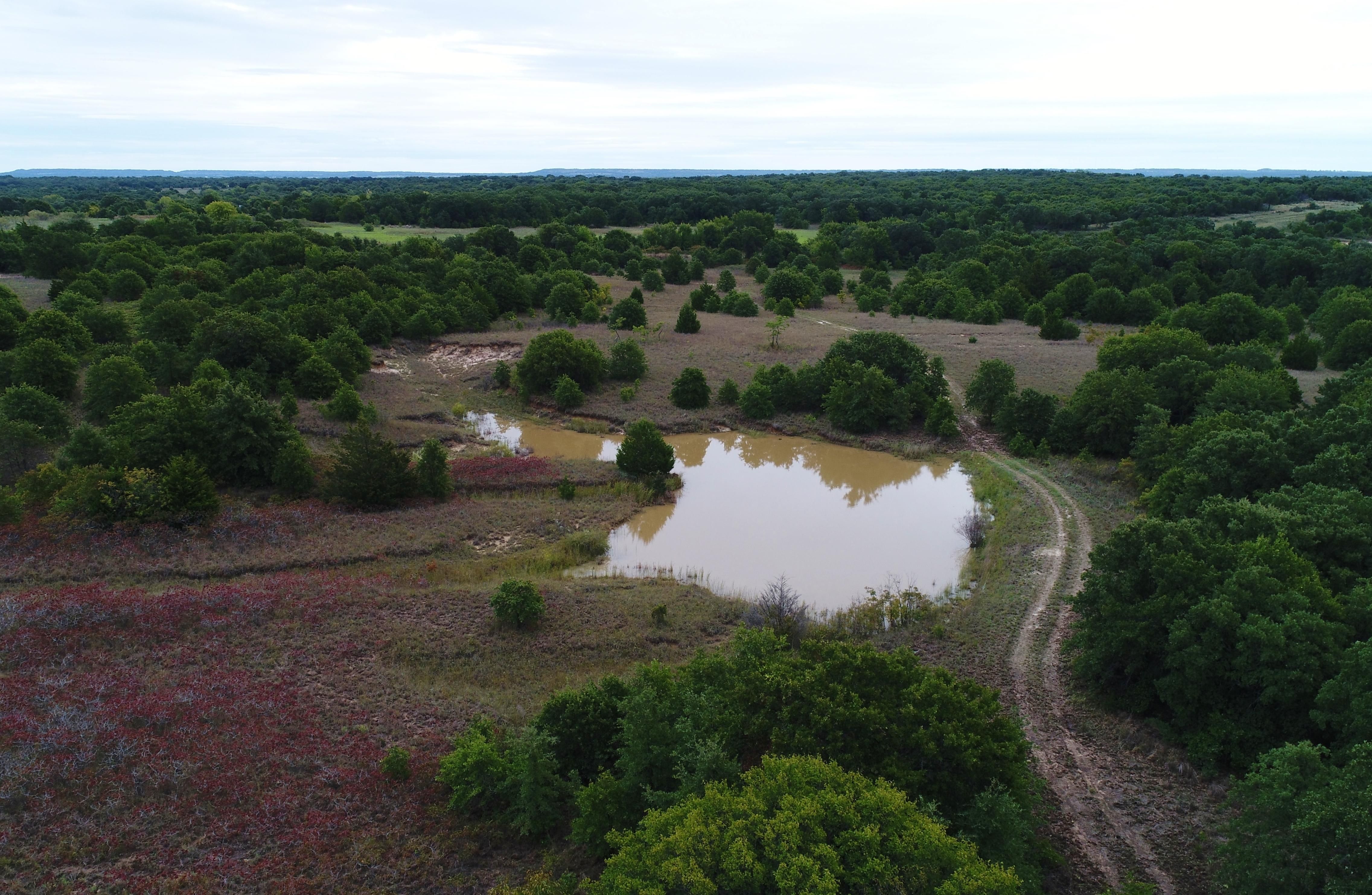 91.5 acres in Montague County, Texas