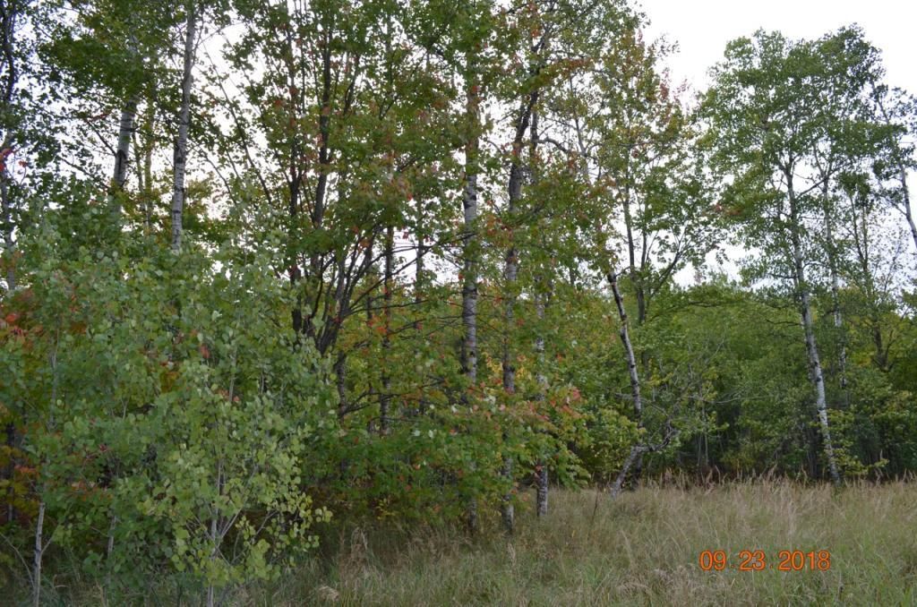 39 acres in Pine County, Minnesota