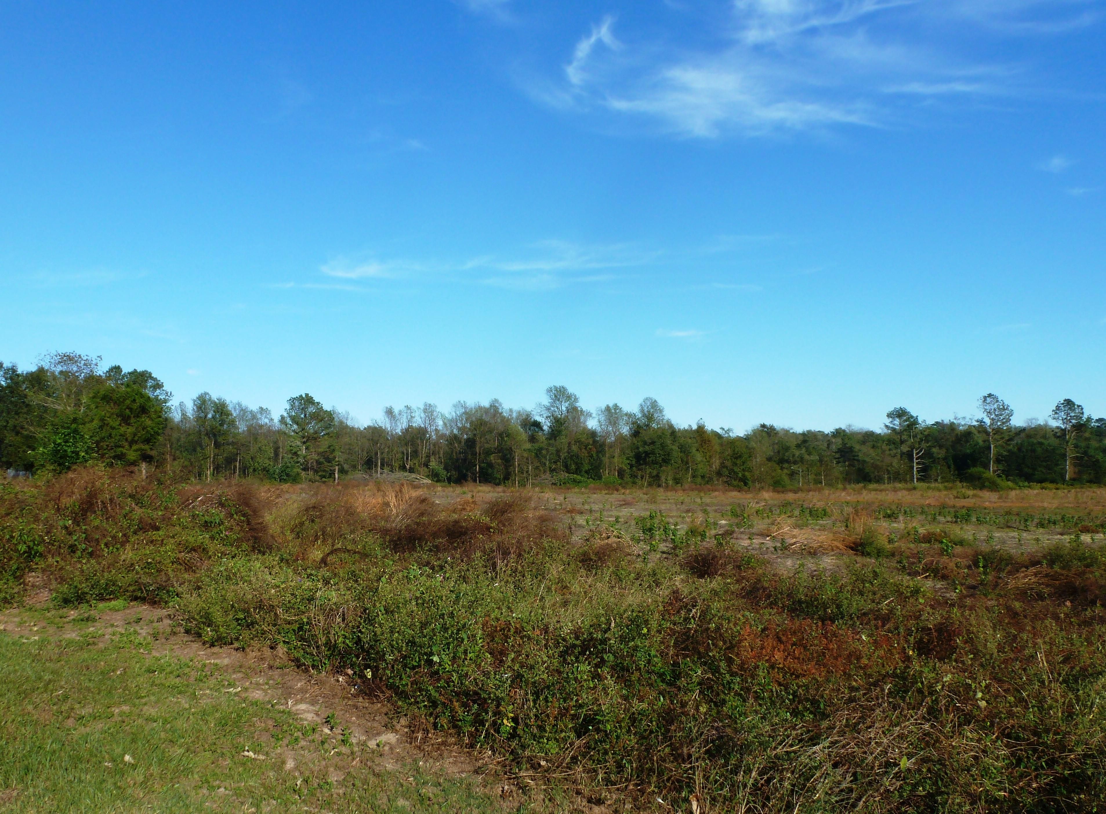 27.59 acres in Duplin County, North Carolina