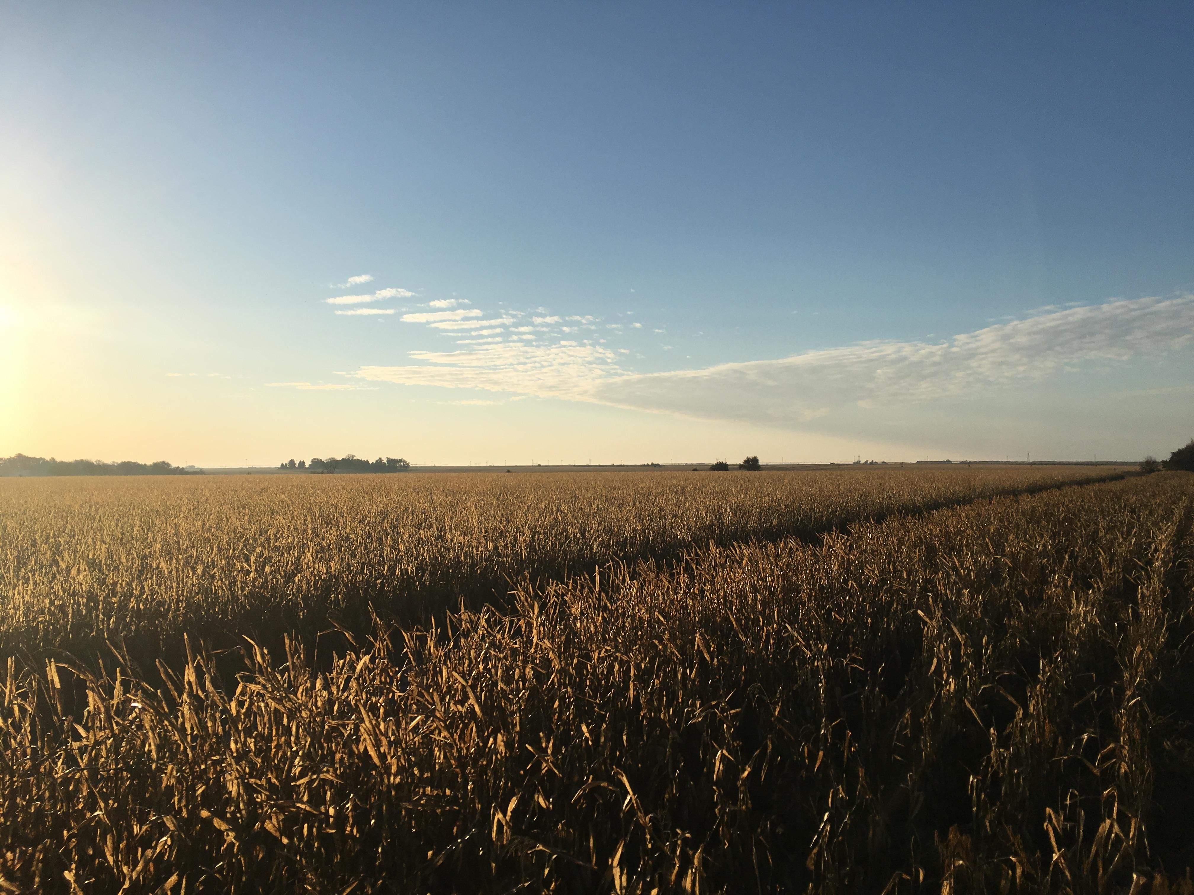 46.57 acres in Adams County, Nebraska