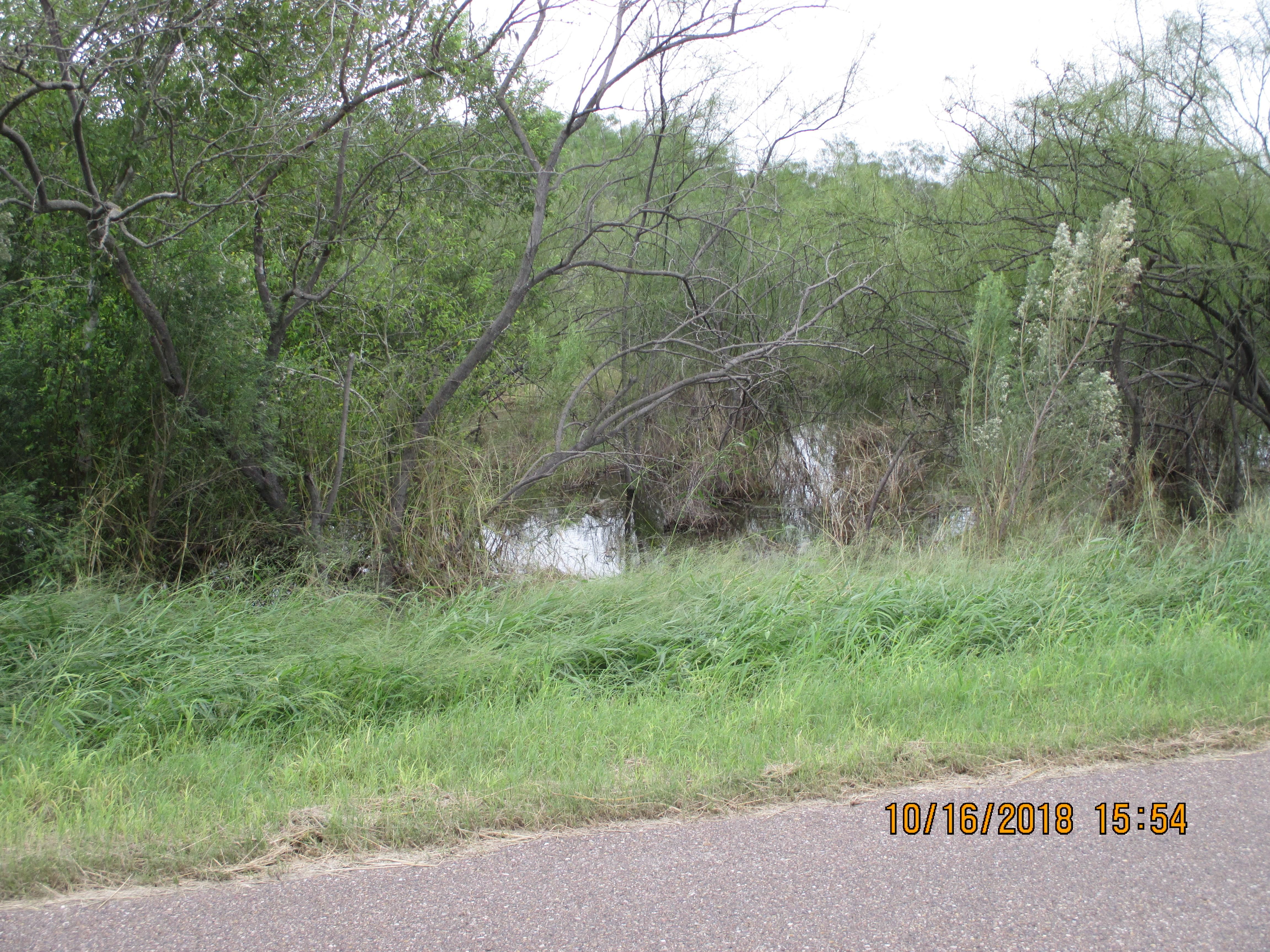 9.87 acres in Brooks County, Texas