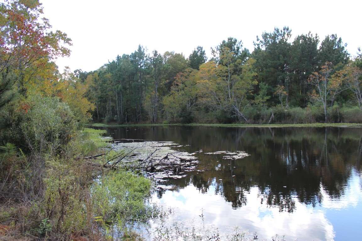 13.12 acres in Jasper County, Texas