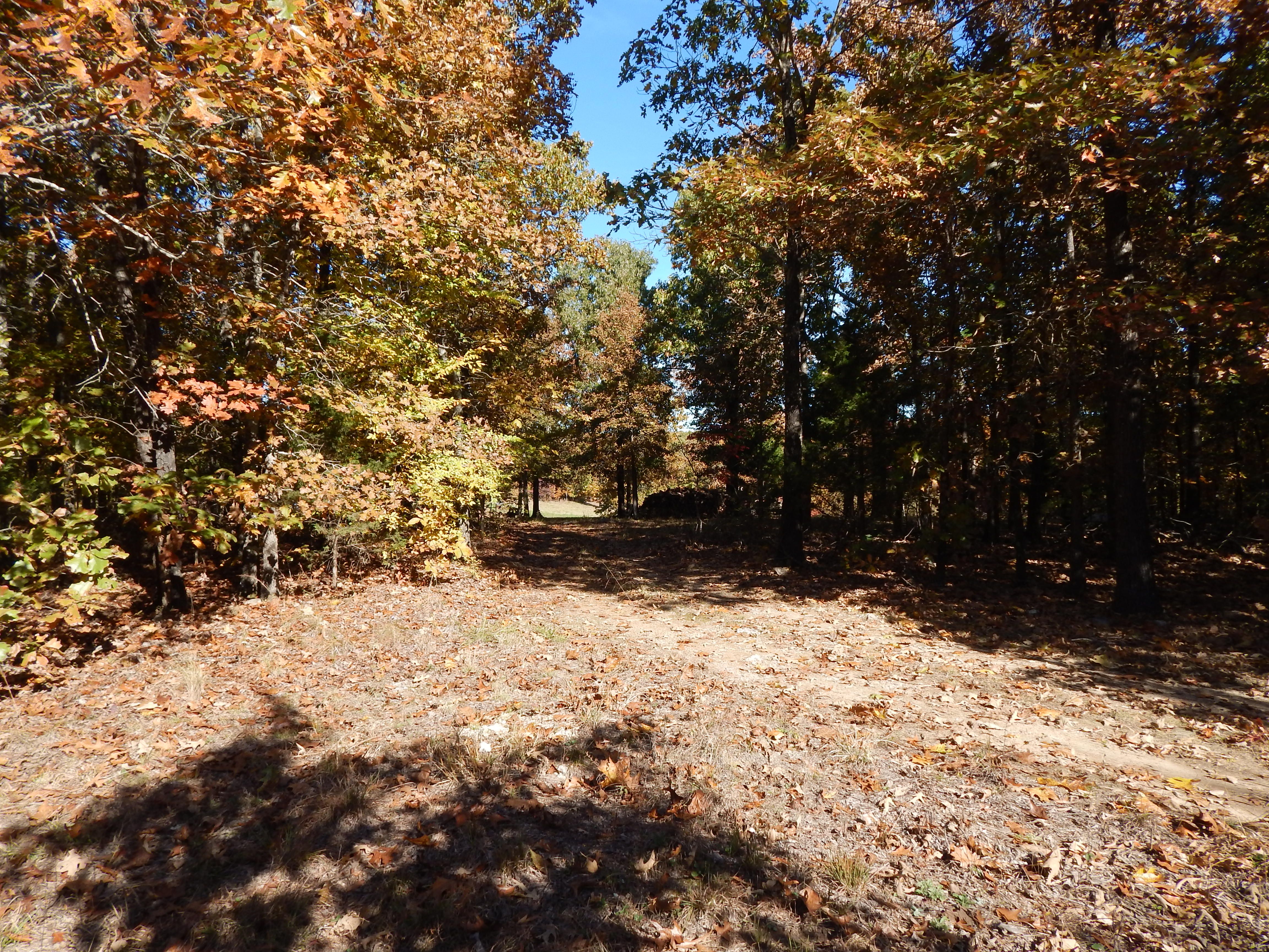 40.00 acres in Sharp County, Arkansas