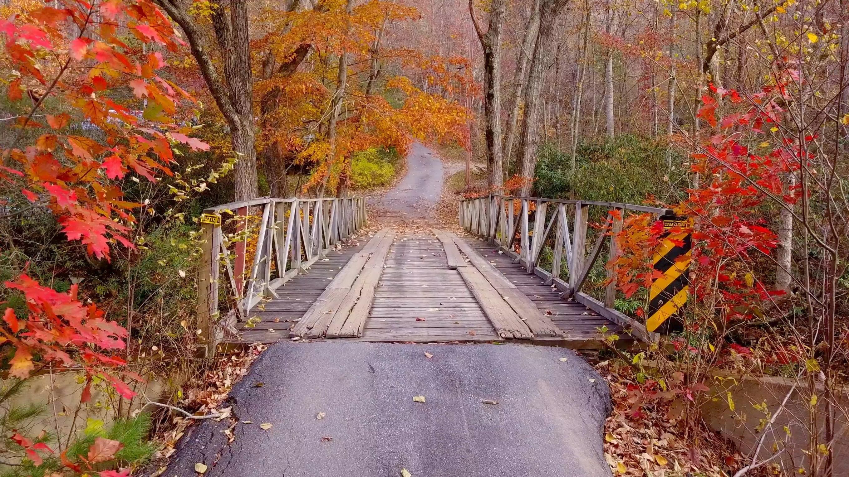 179.63 Acres In Haywood County, North Carolina