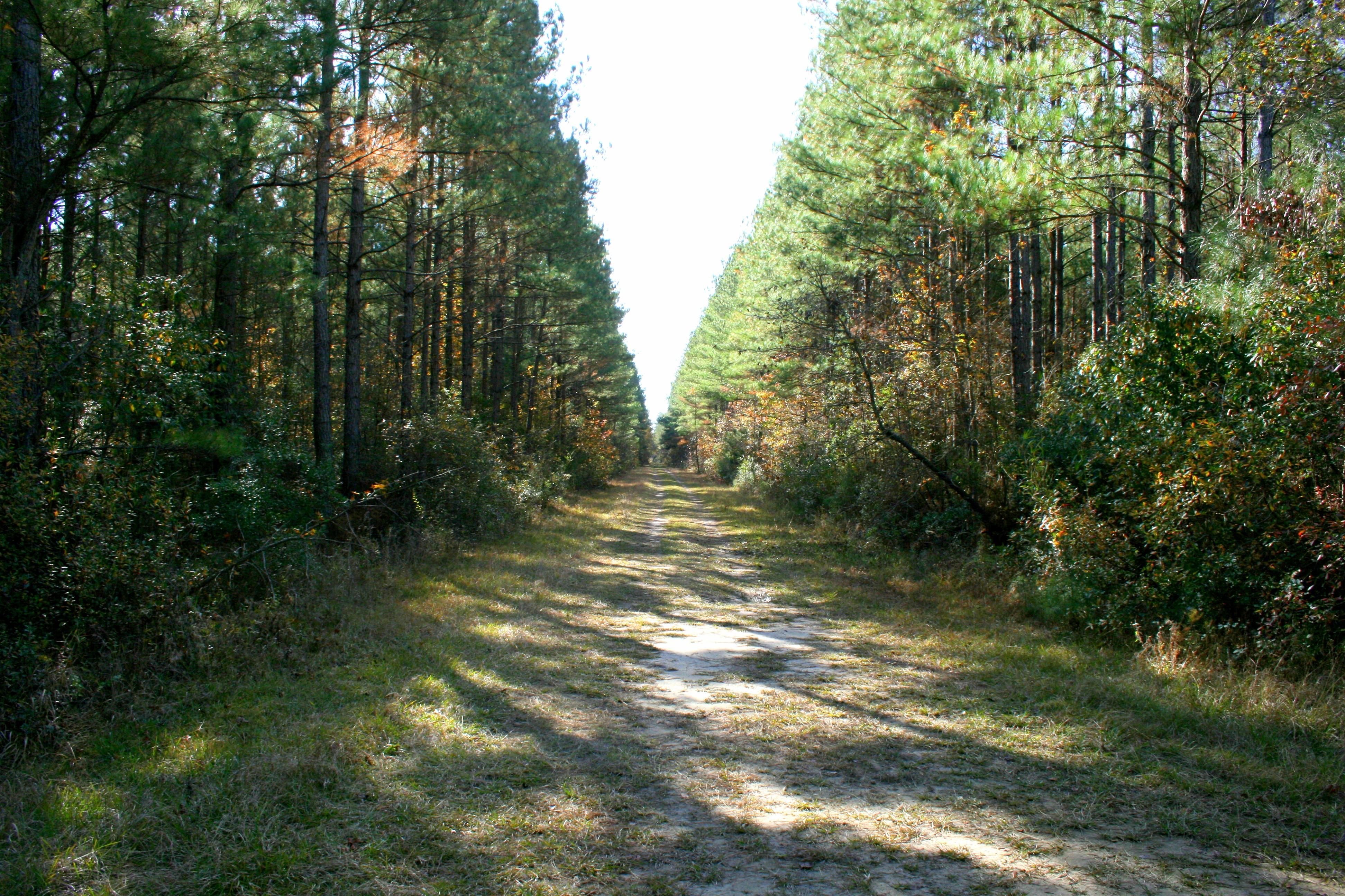 225.53 acres in Robeson County, North Carolina