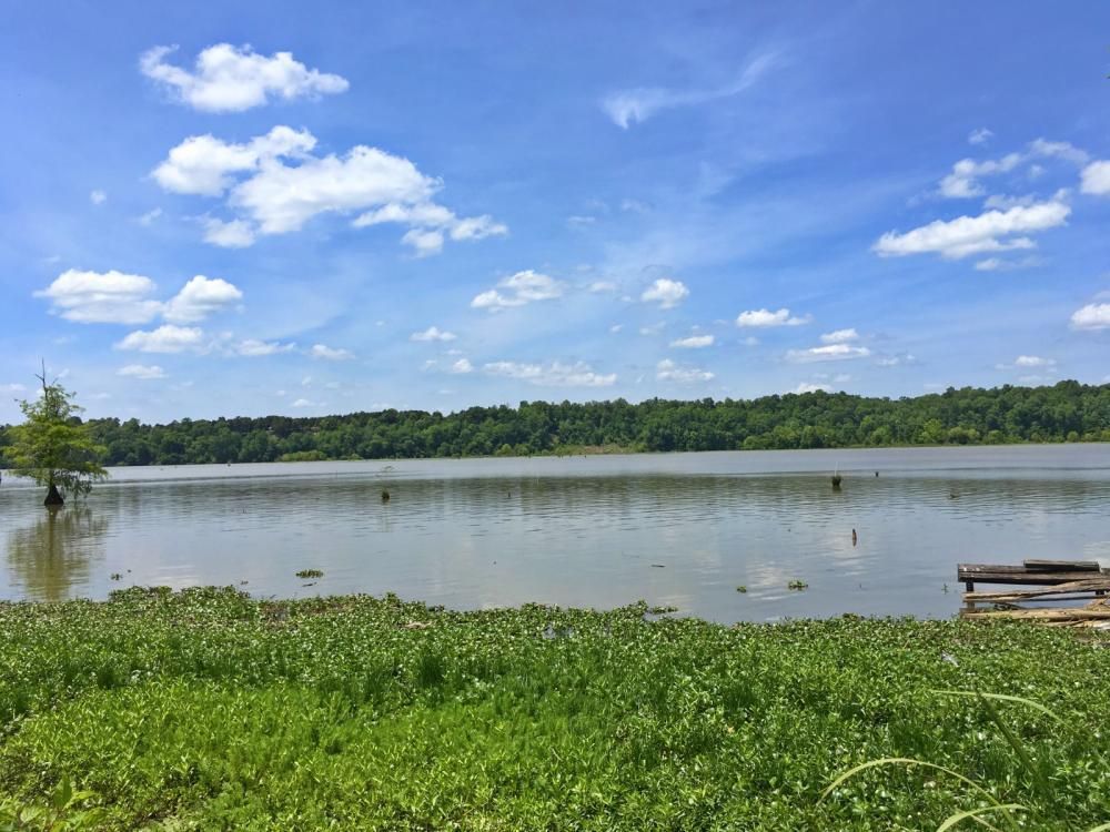 0.5 acres in Wilcox County, Alabama