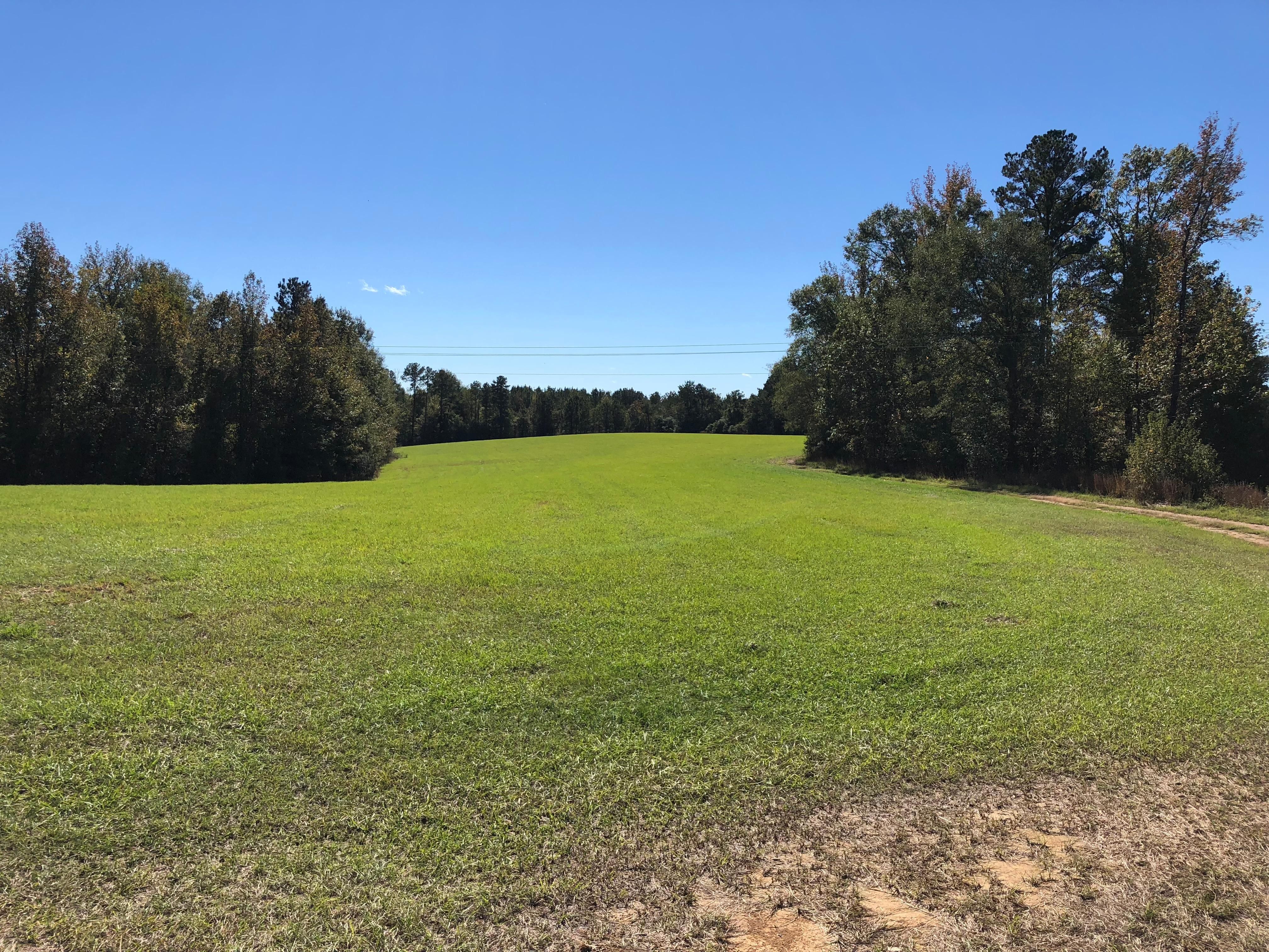 1,030 acres in Jefferson County, Mississippi