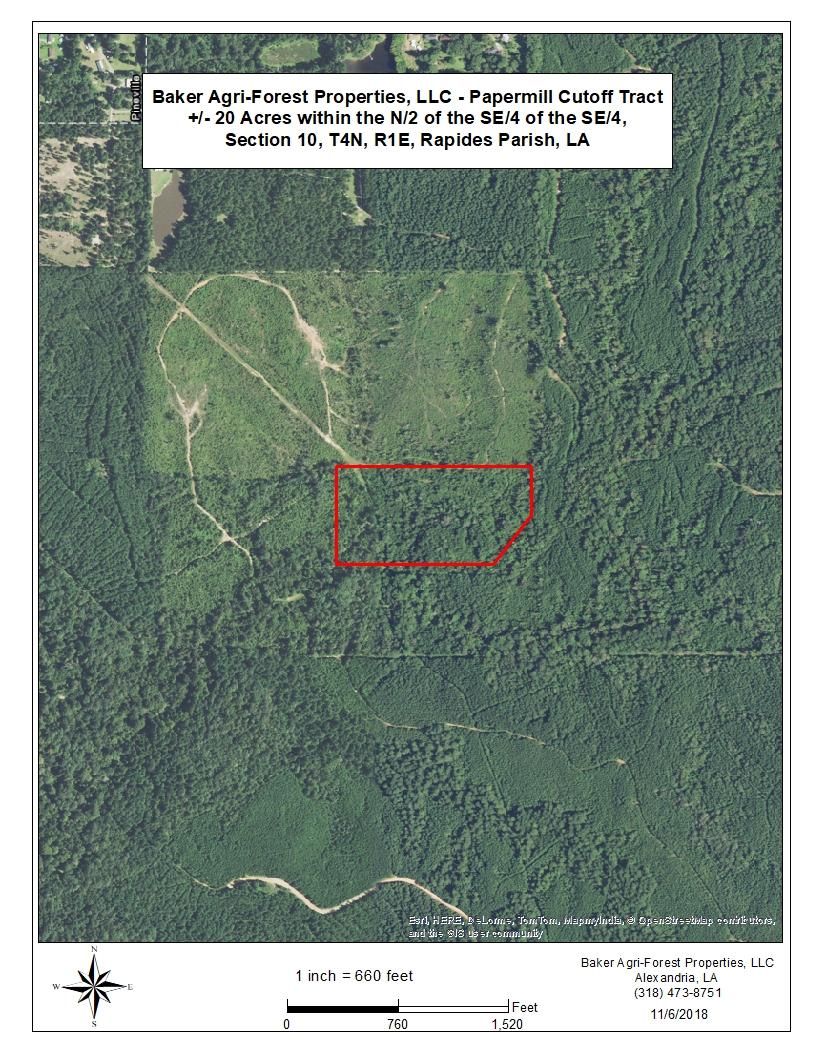 20 acres in Rapides Parish, Louisiana