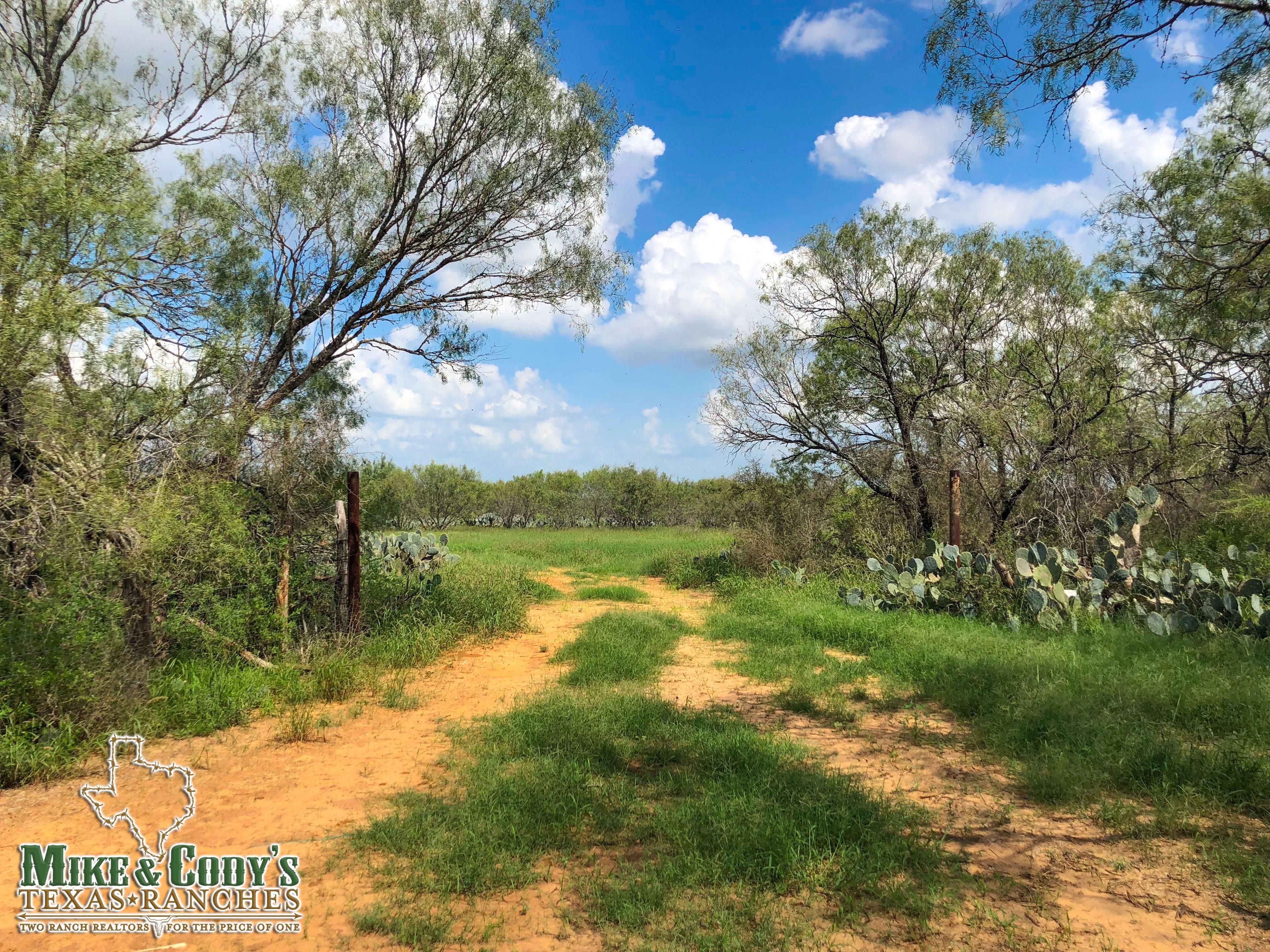 36.00 acres in Atascosa County, Texas