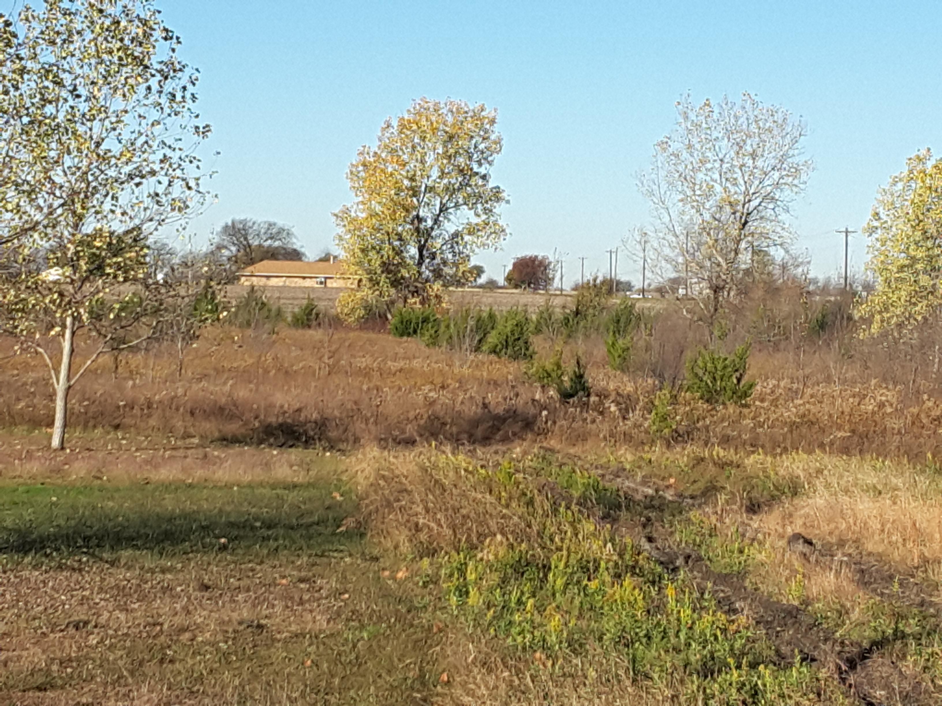 11.49 acres in Grayson County, Texas