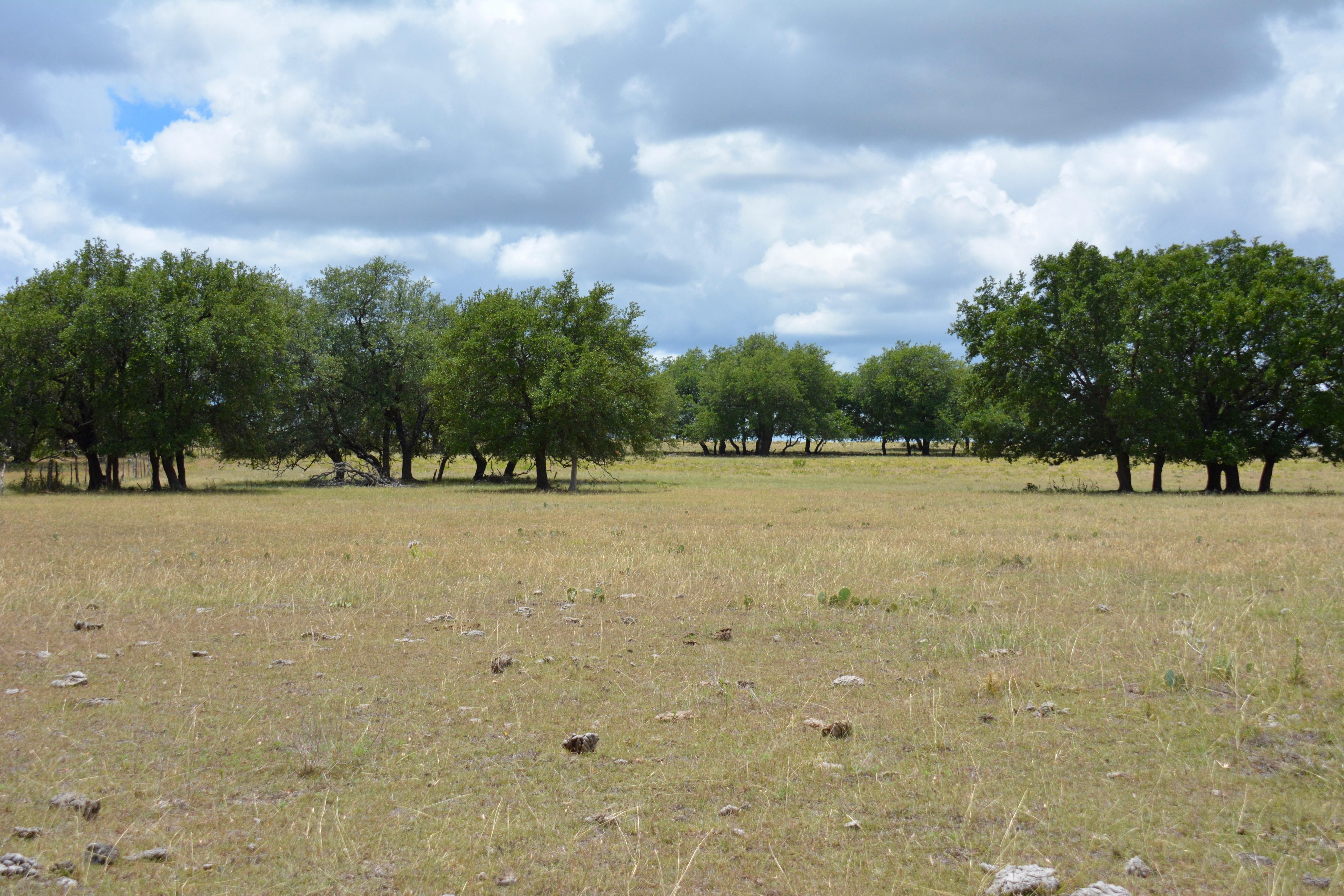73 acres in Mills County, Texas