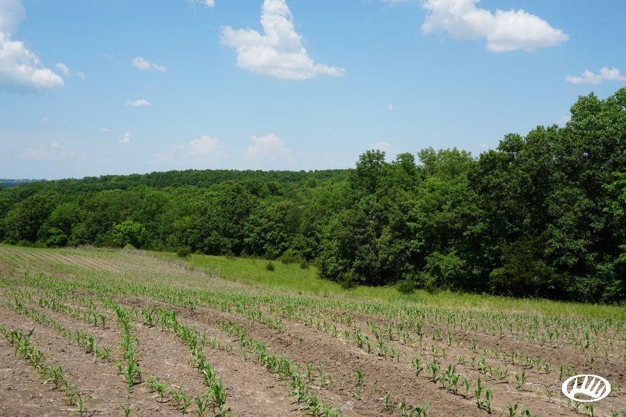 294 acres in Mercer County, Missouri