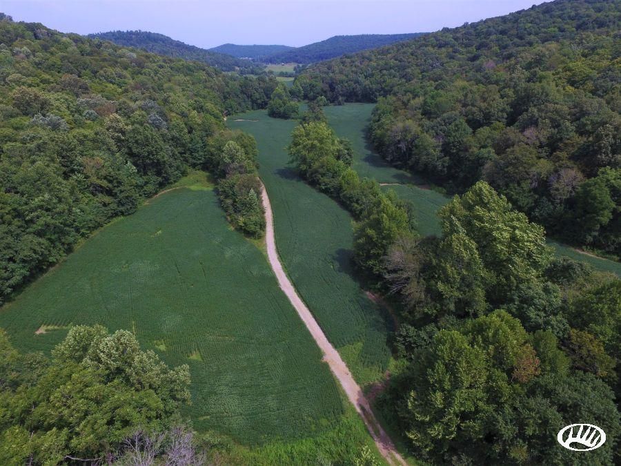305 acres in Wayne County, Kentucky