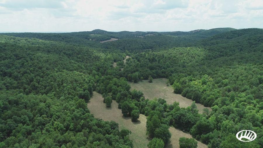 612 acres in Baxter County, Arkansas