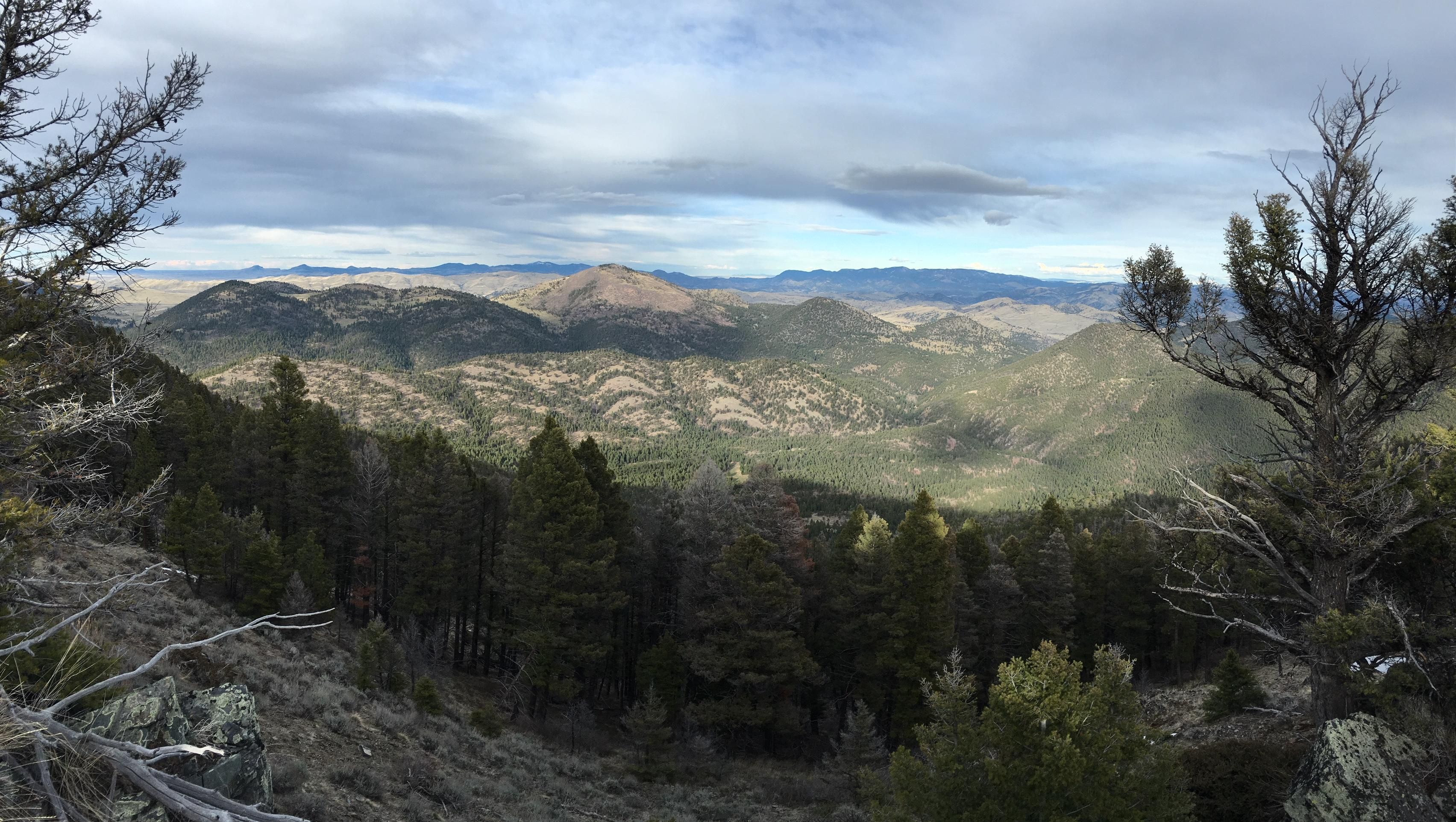 120 acres in Lewis and Clark County, Montana