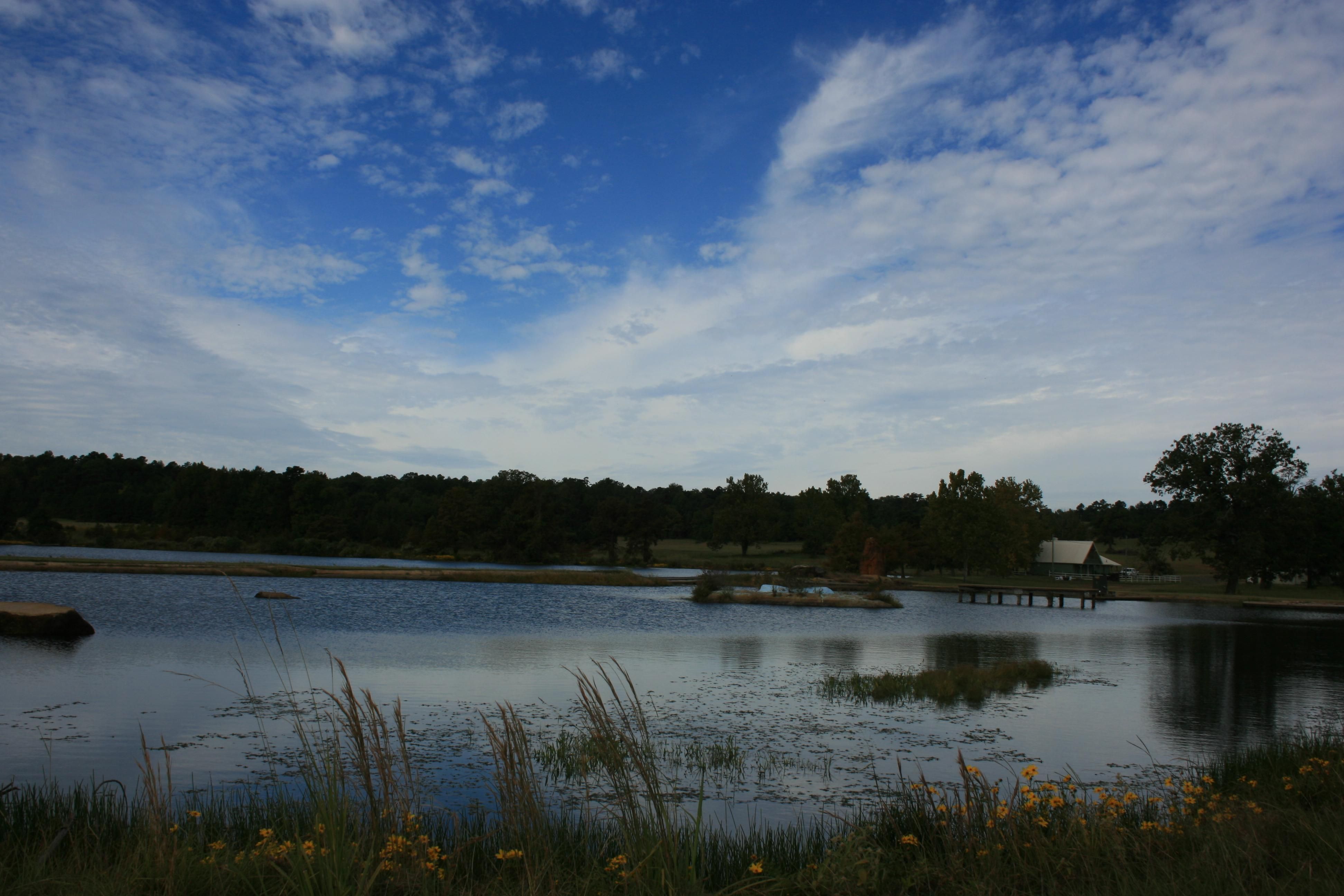 309 acres in Miller County, Arkansas