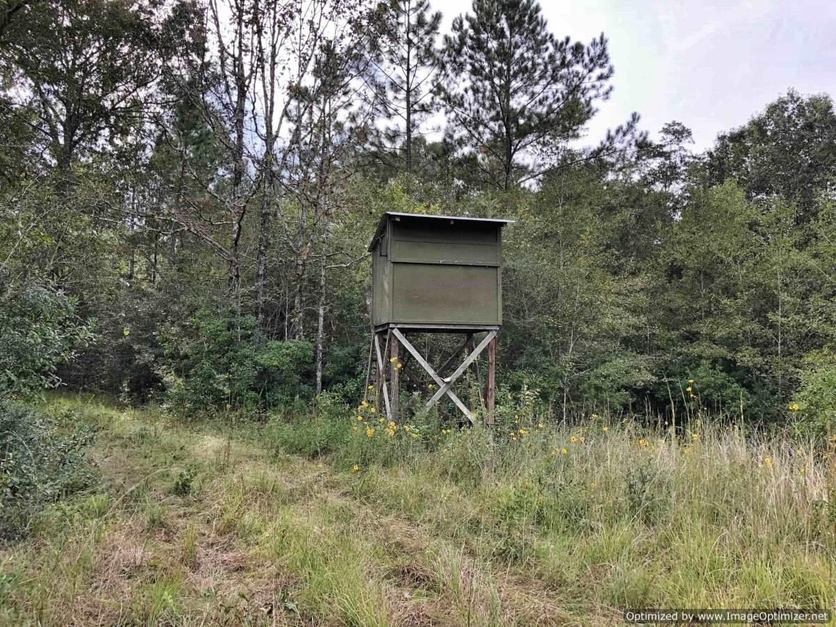 40 acres in Pearl River County, Mississippi