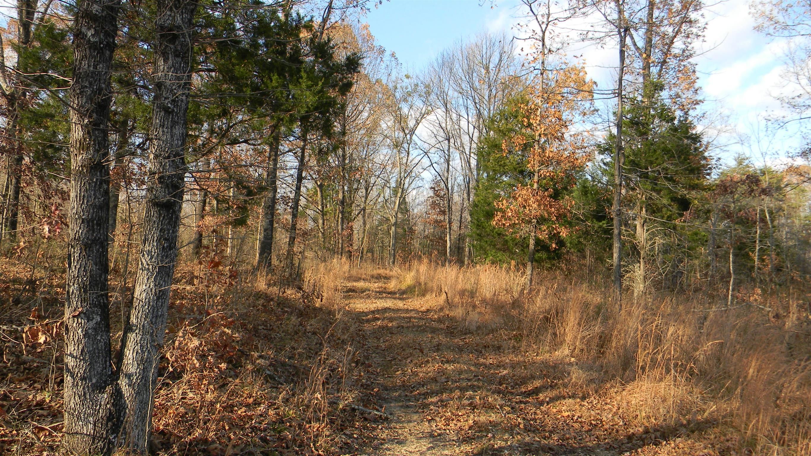 94.67 Acres In Stewart County, Tennessee