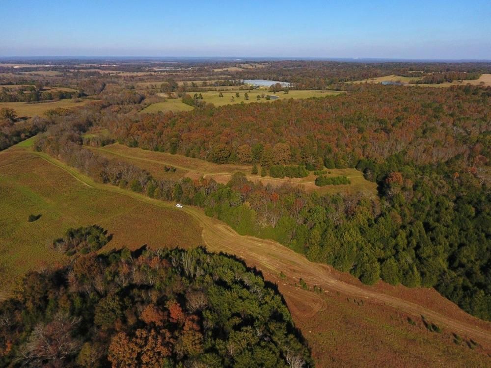 183 acres in Lowndes County, Alabama
