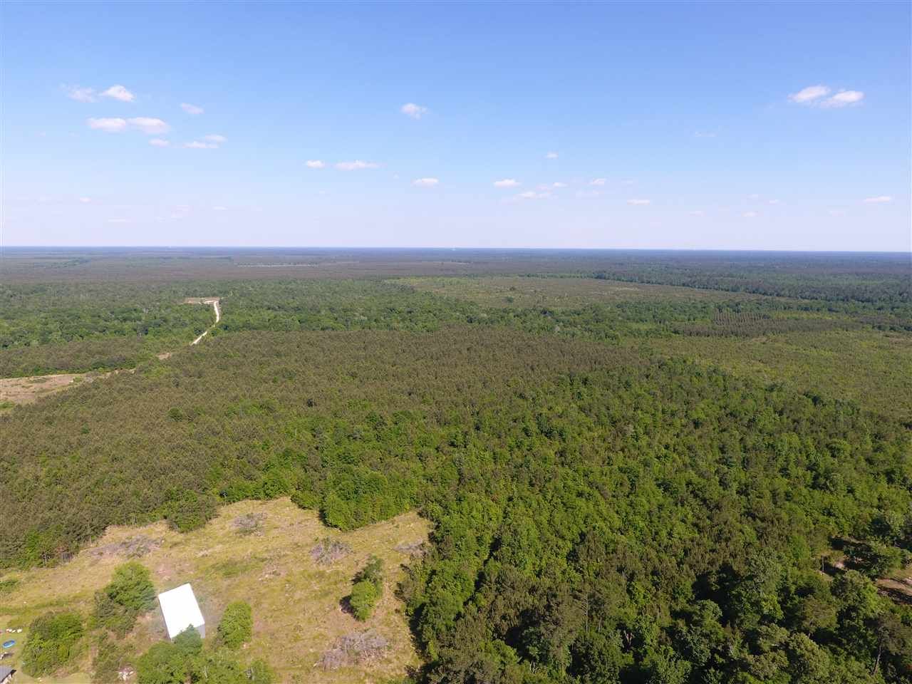 137.99 acres in Hardin County, Texas