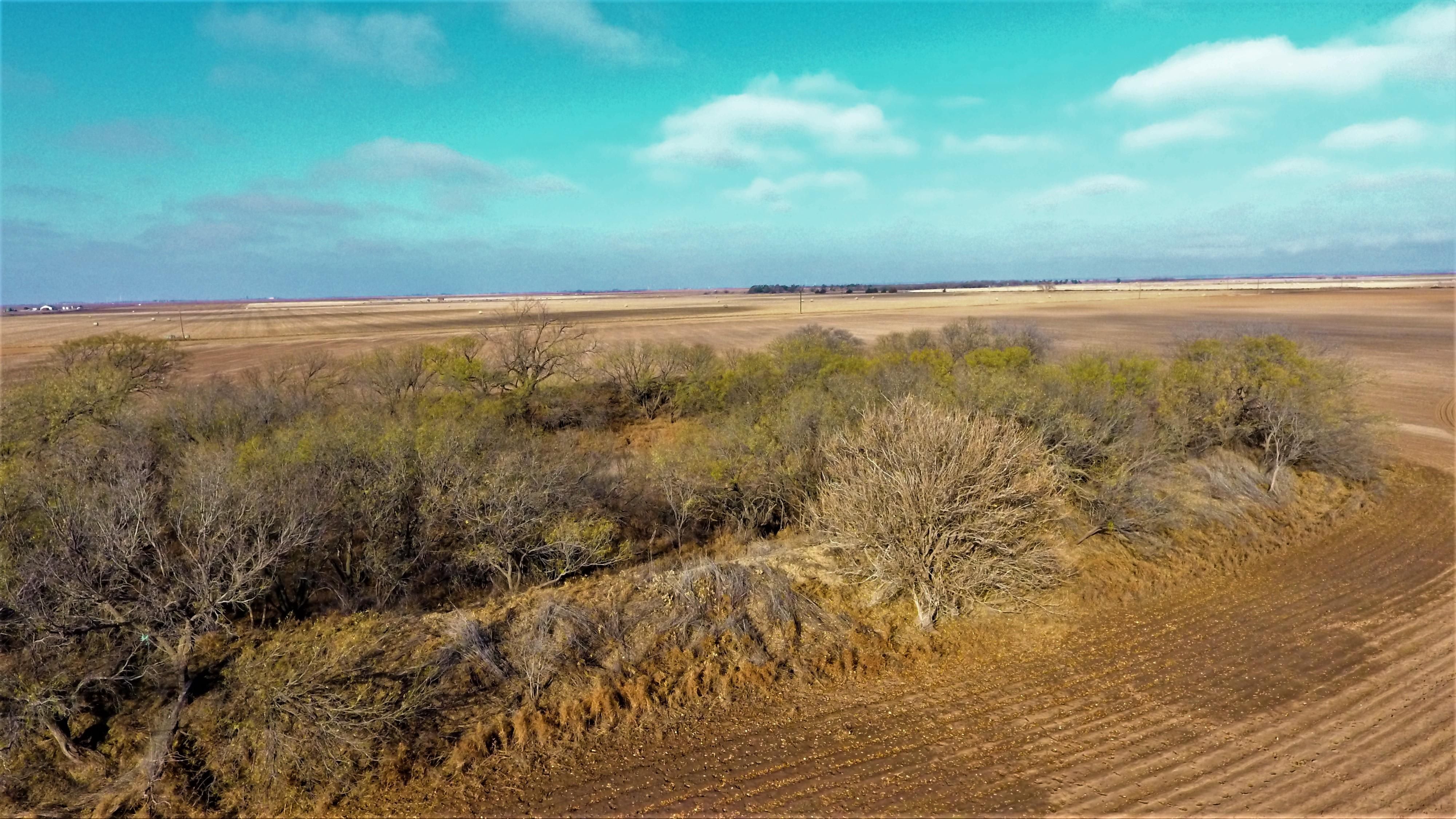 160 acres in Knox County, Texas