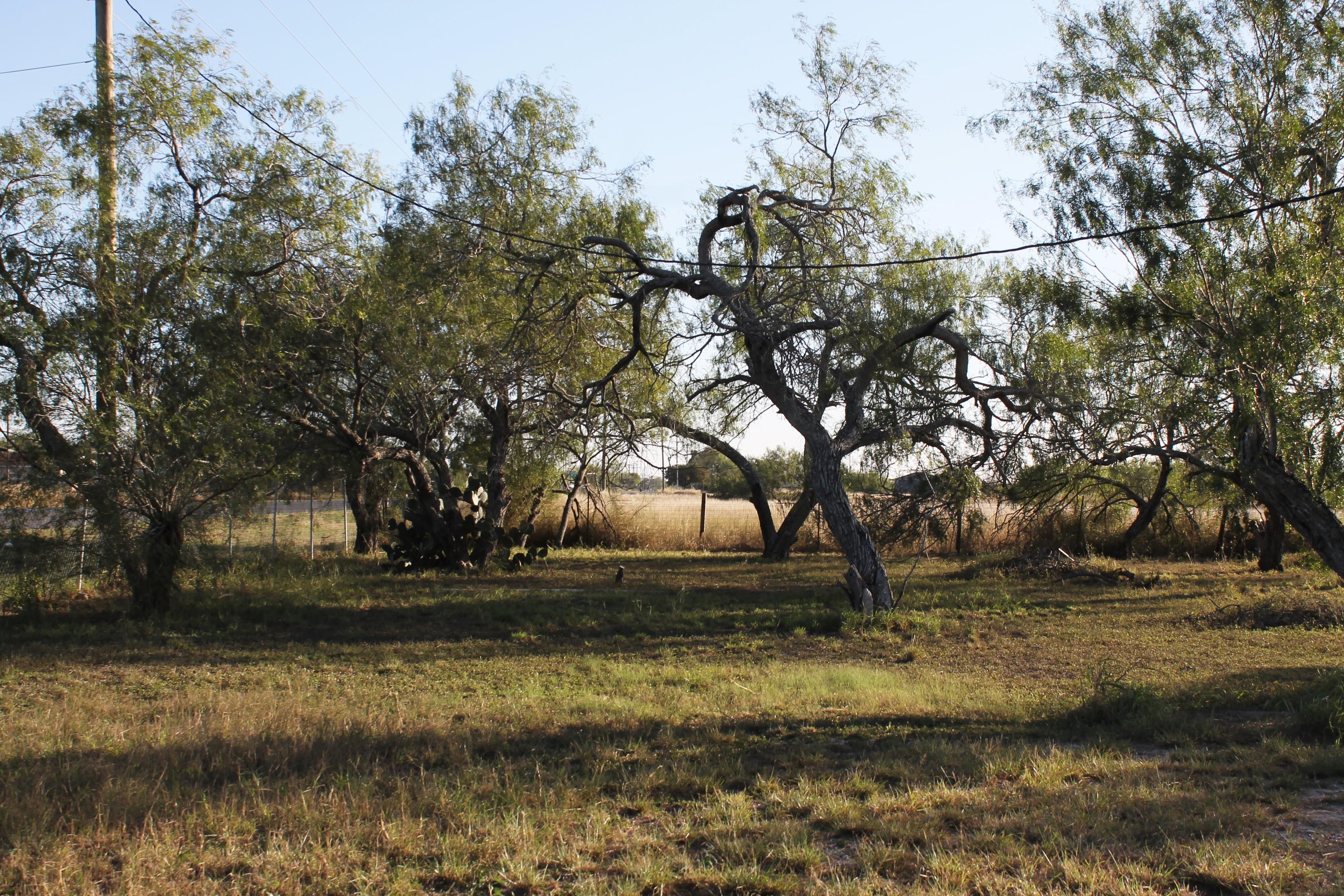 14.00 acres in Cameron County, Texas