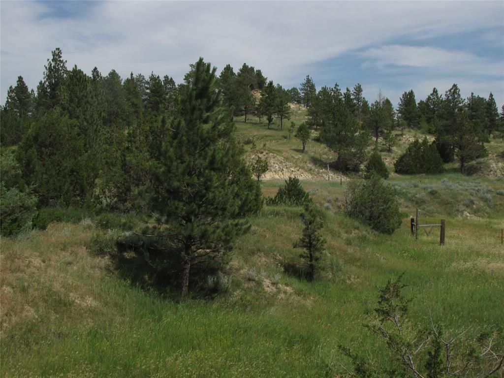 27.63 acres in Custer County, Montana