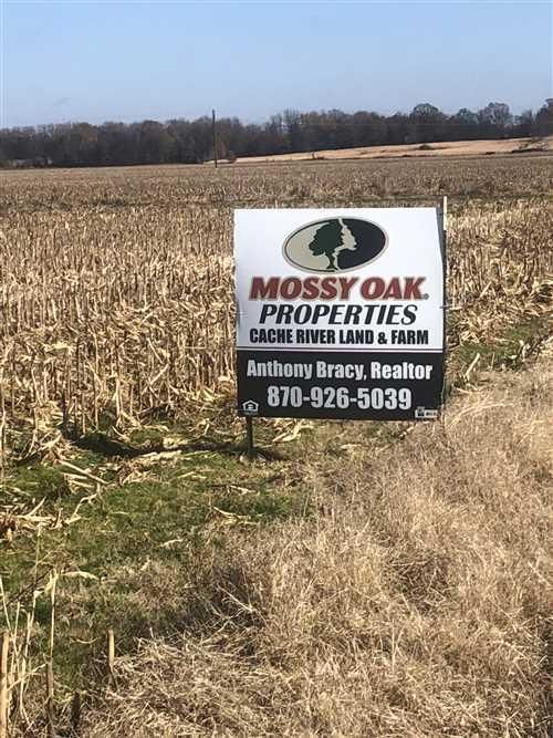 255 acres in Phillips County, Arkansas