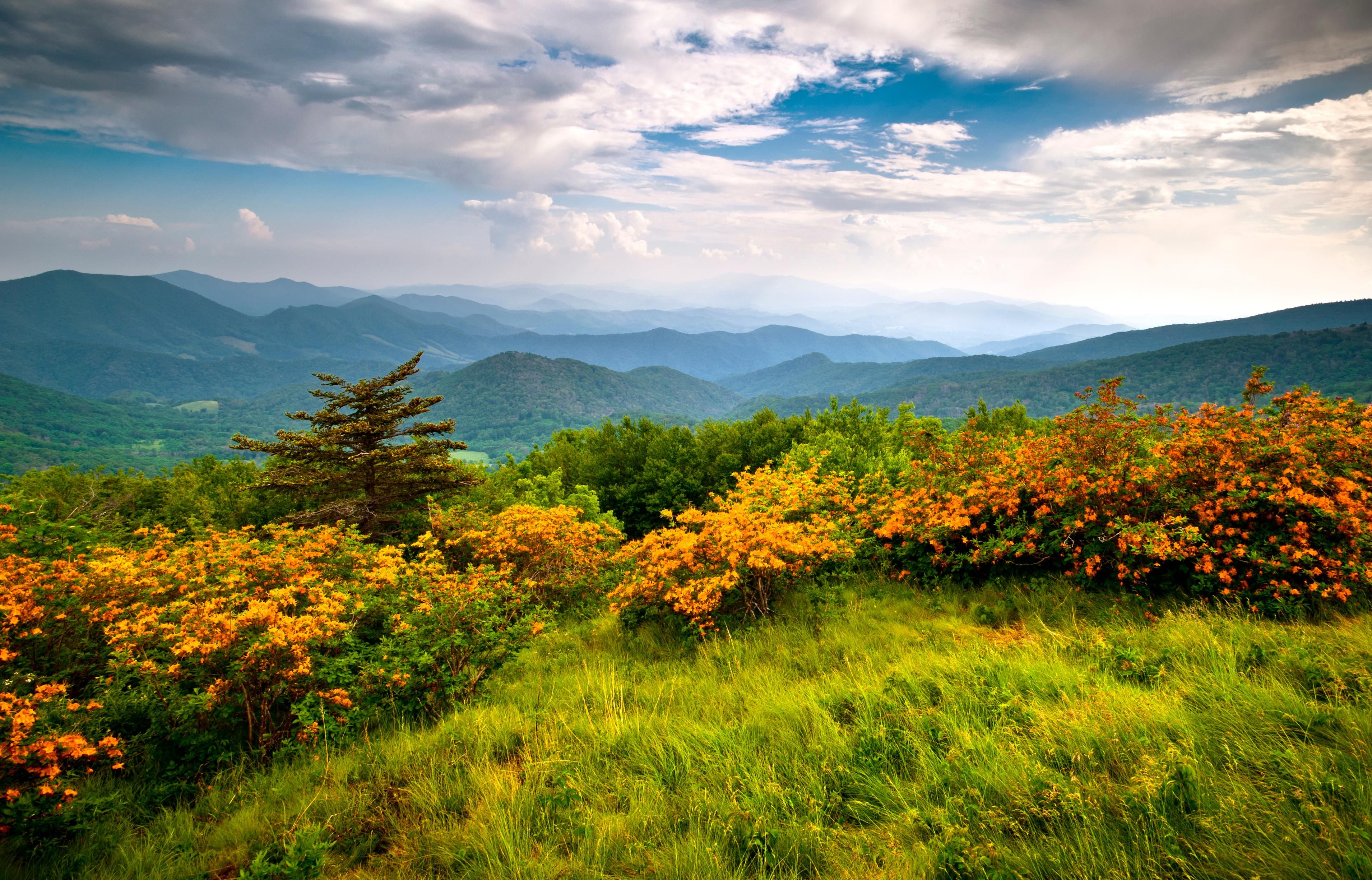 1 acres in McDowell County, North Carolina