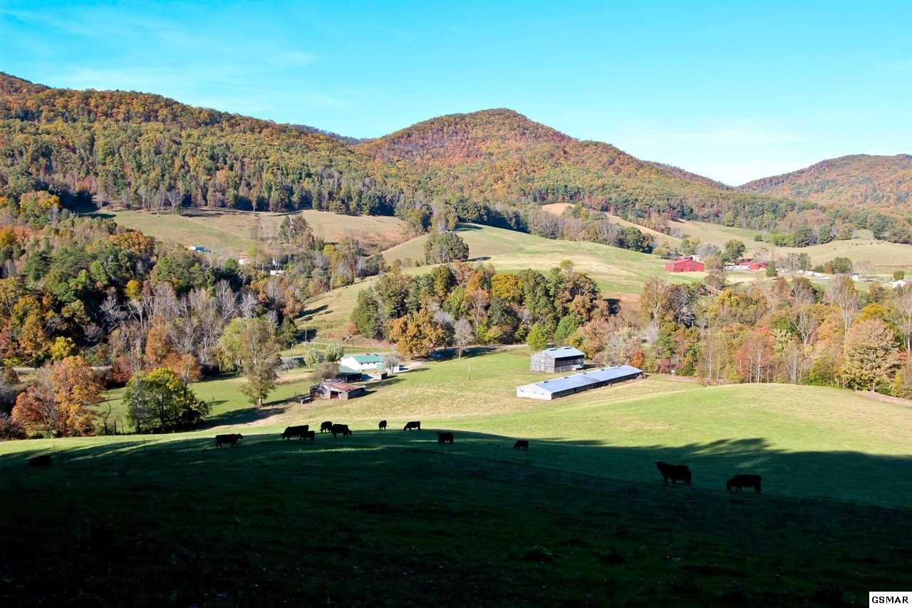 128.5 acres in Cocke County, Tennessee