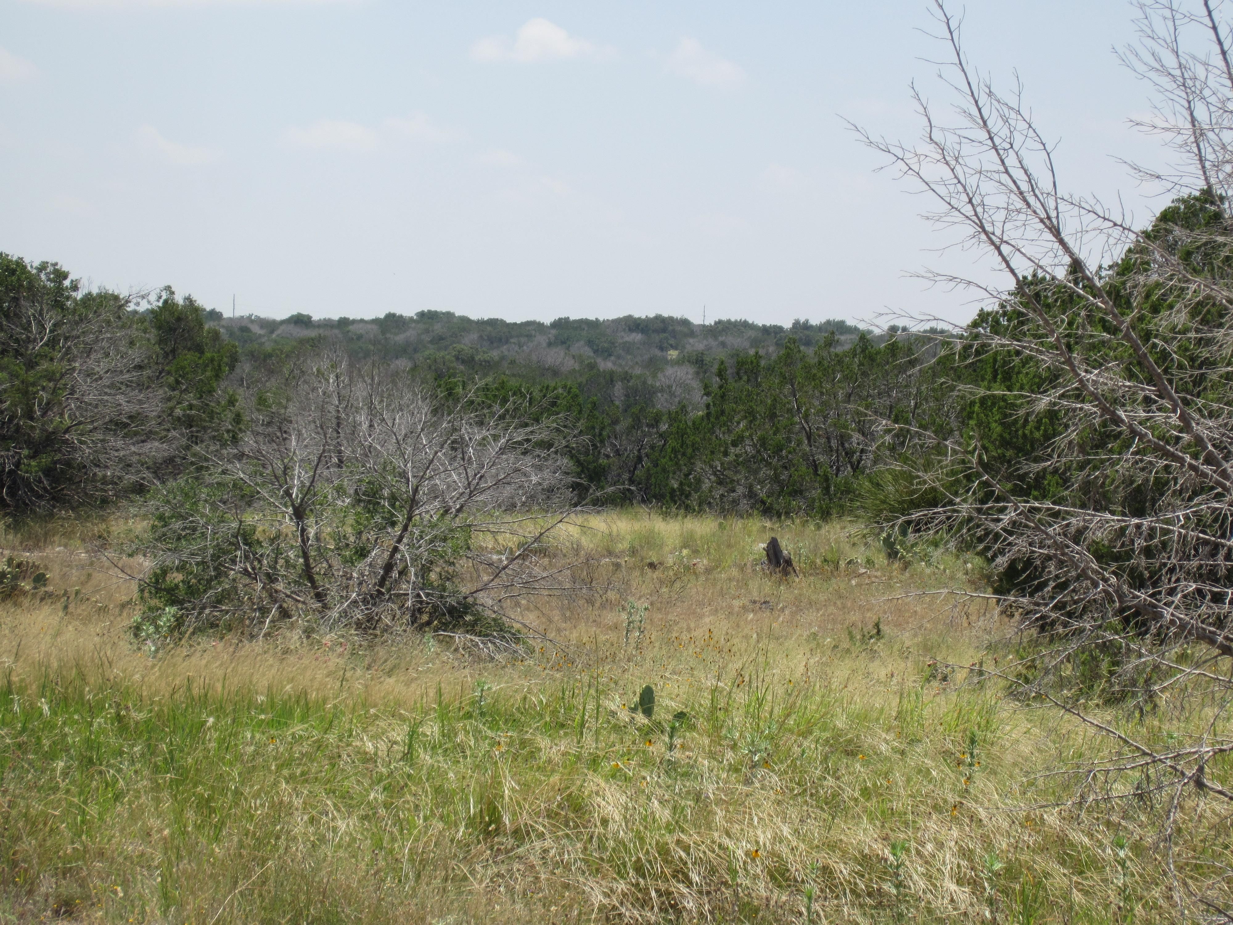 146.73 acres in Sutton County, Texas