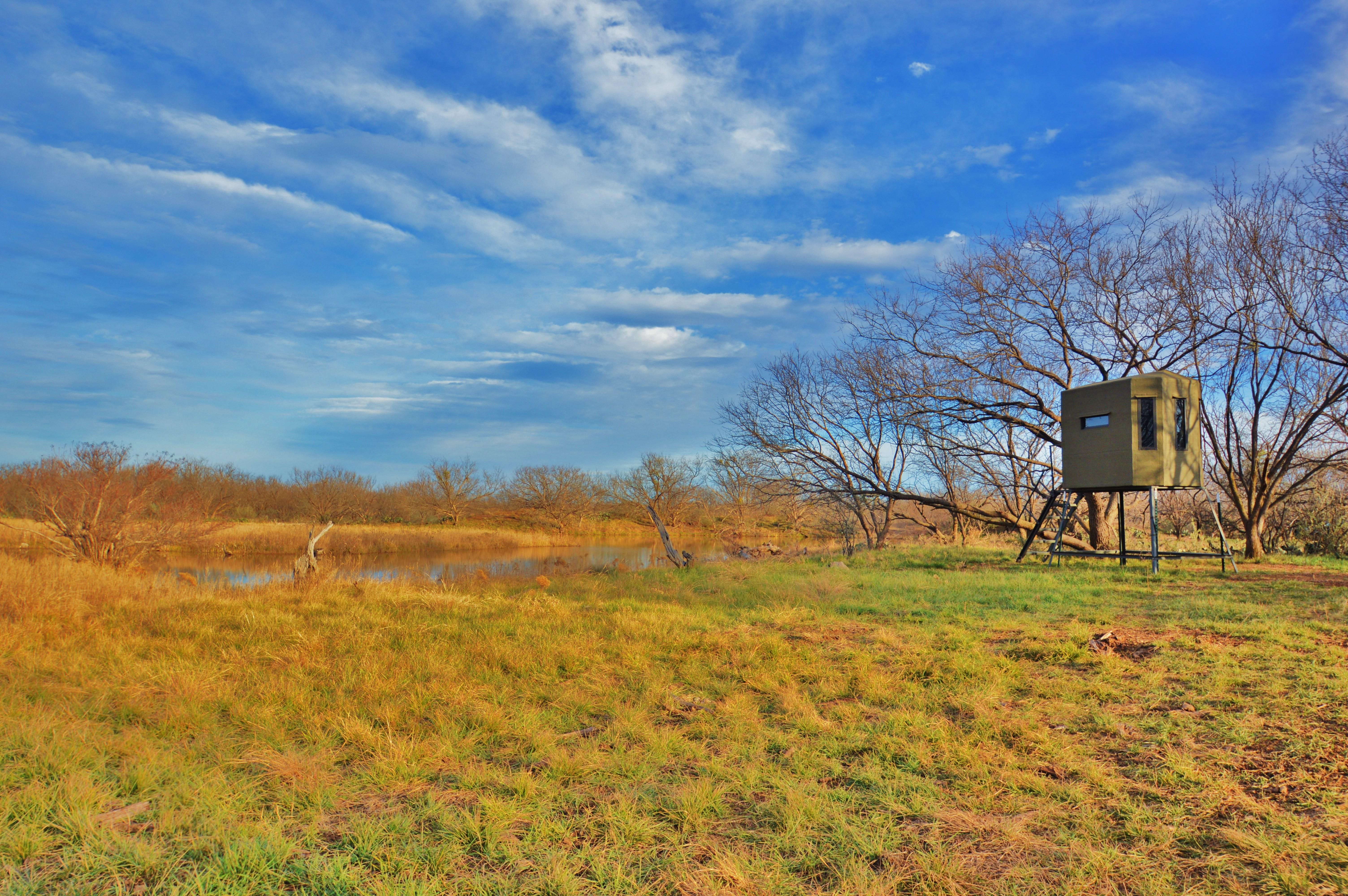 320 acres in Throckmorton County, Texas
