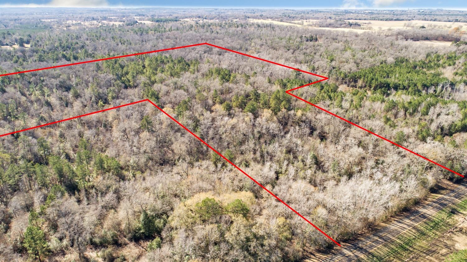 56.42 acres in Anderson County, Texas