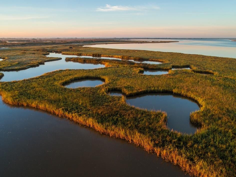 10,016 acres in Calhoun County, Texas