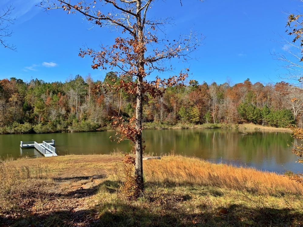 70 acres in Hale County, Alabama