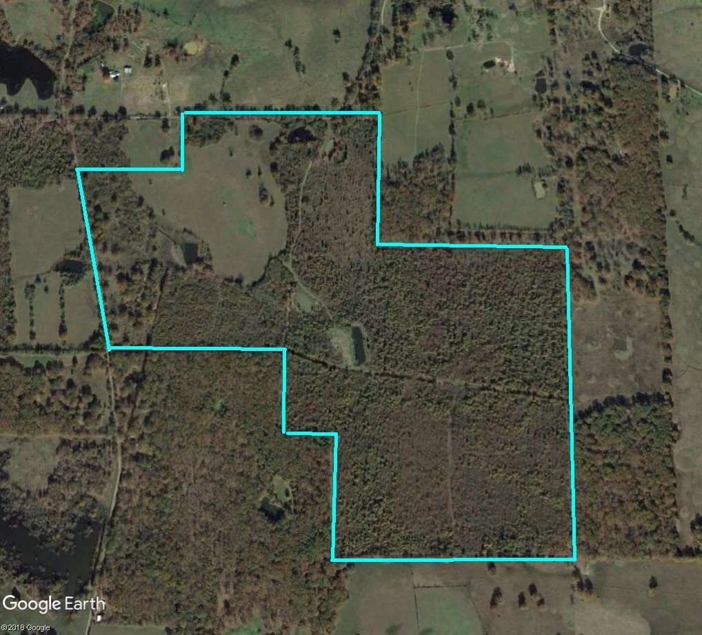 138.16 acres in Titus County, Texas