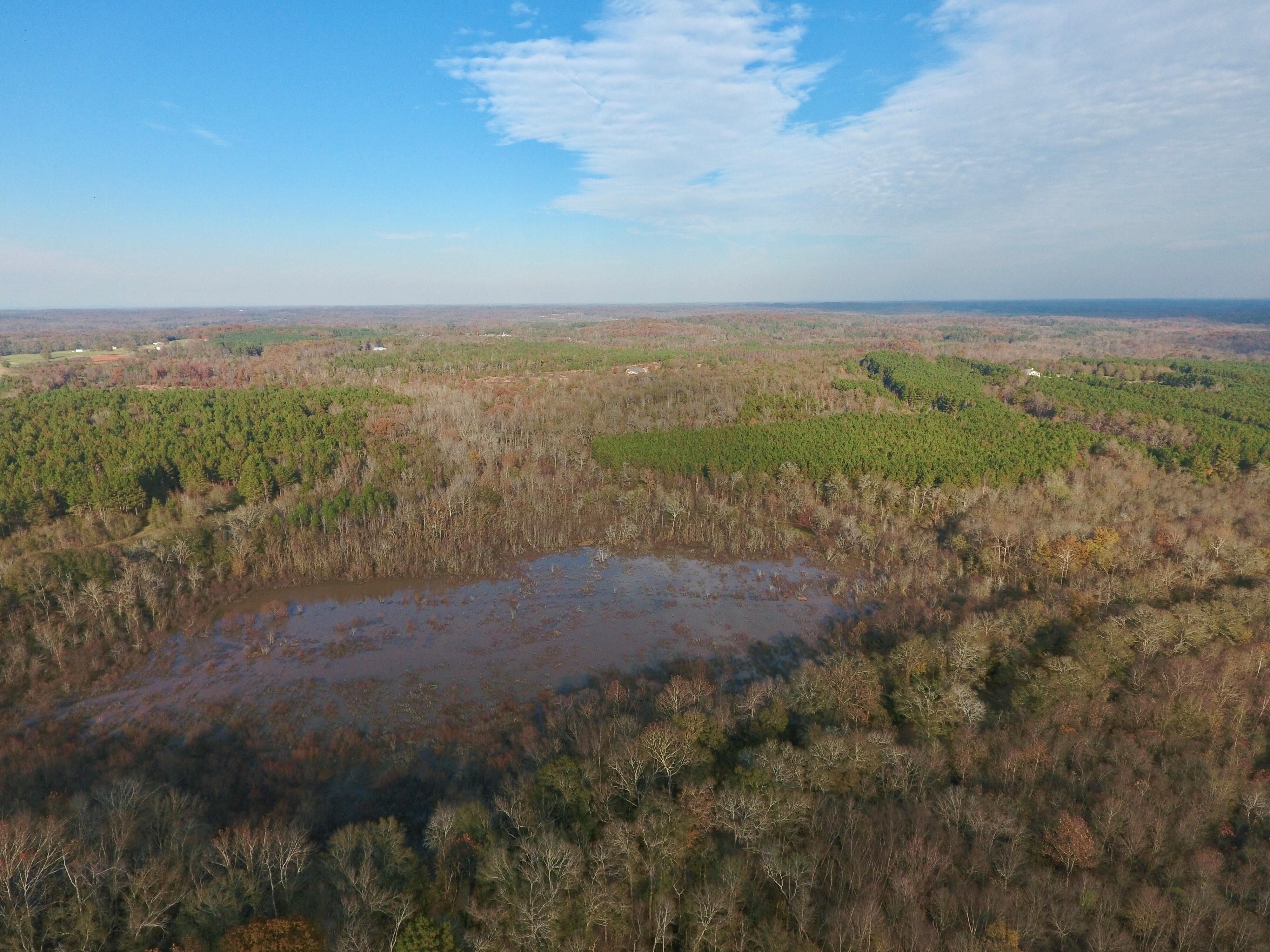 95 acres in Banks County,