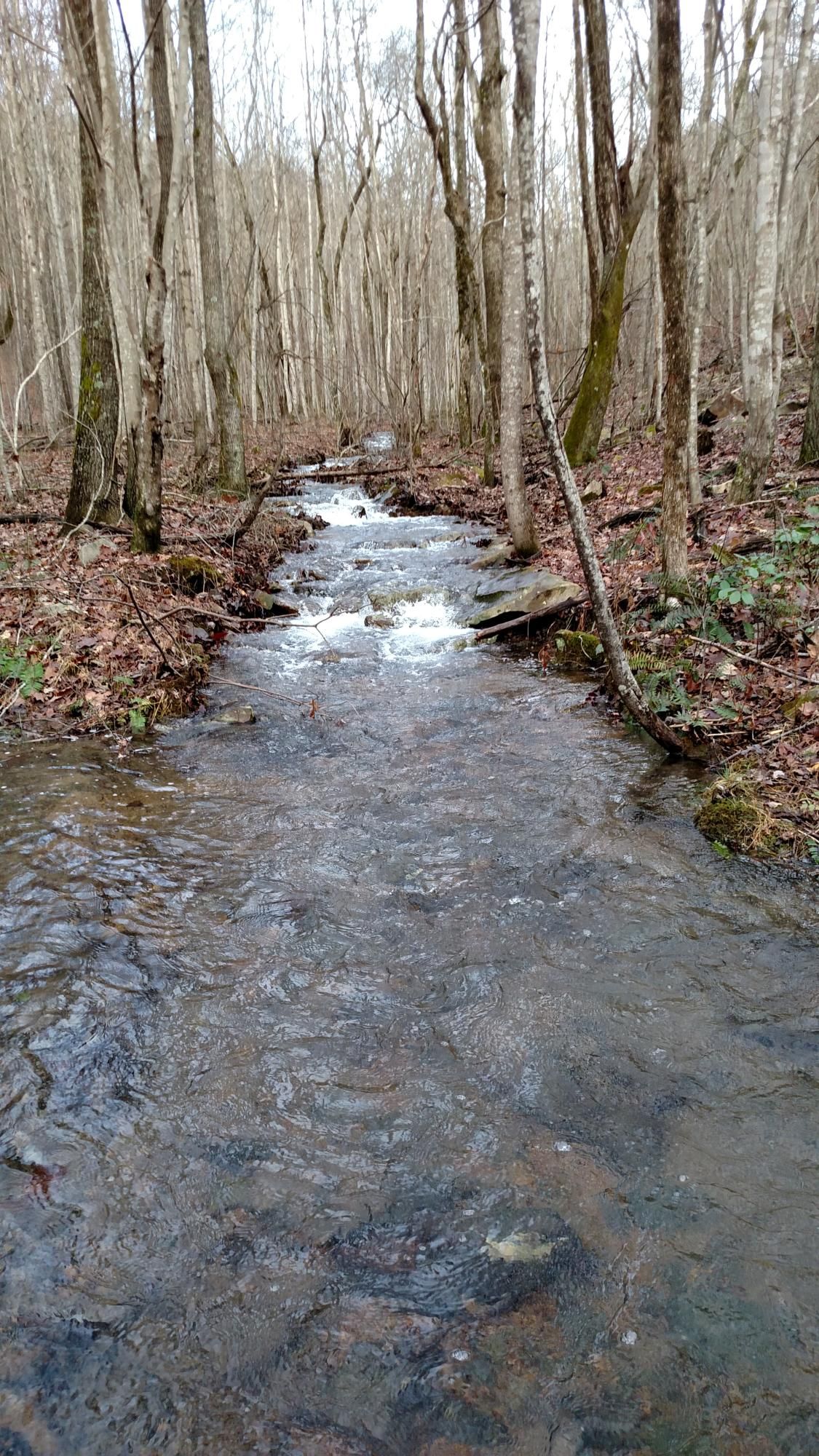 20 acres in Rhea County, Tennessee