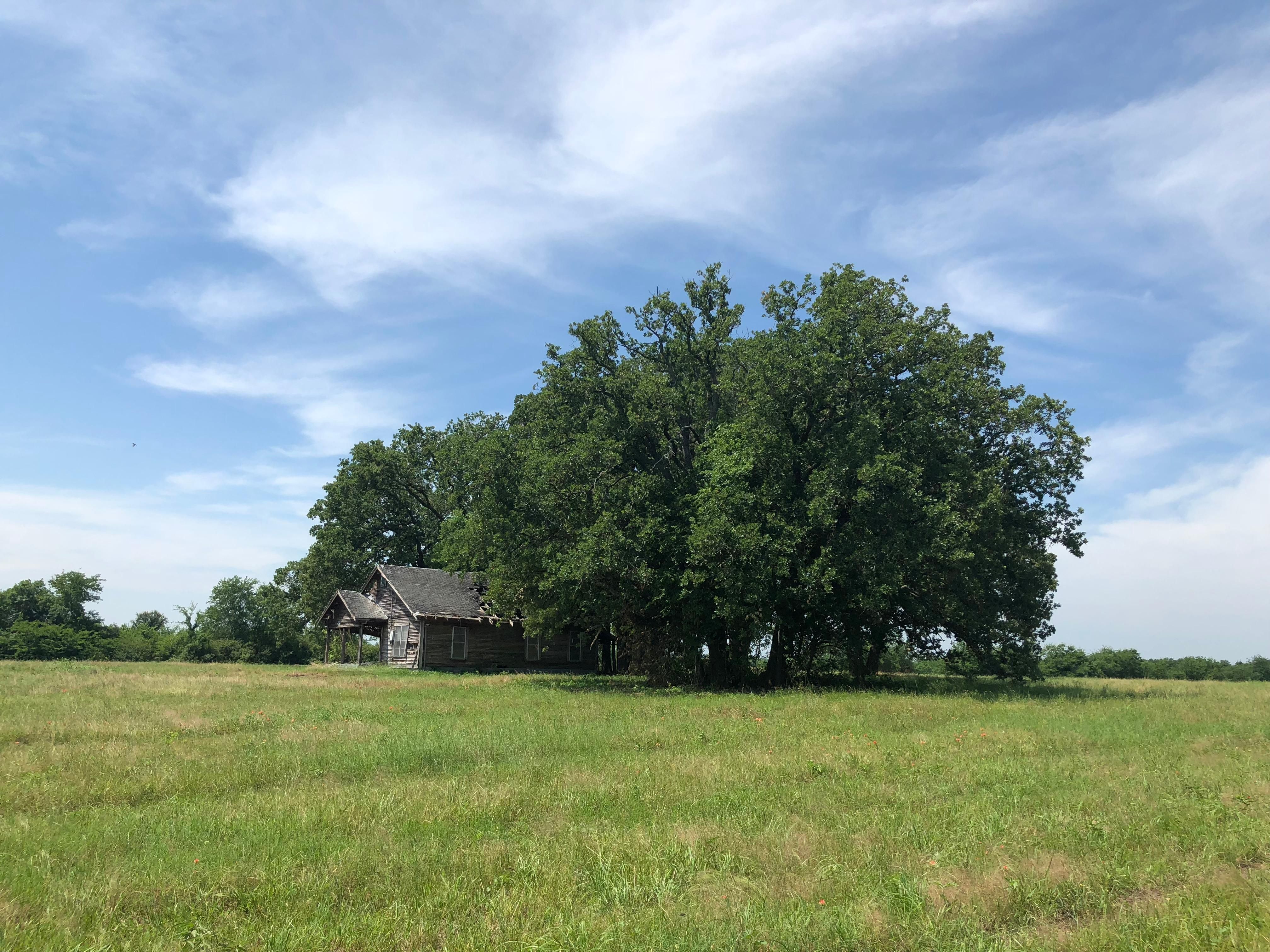 32 acres in Hopkins County, Texas