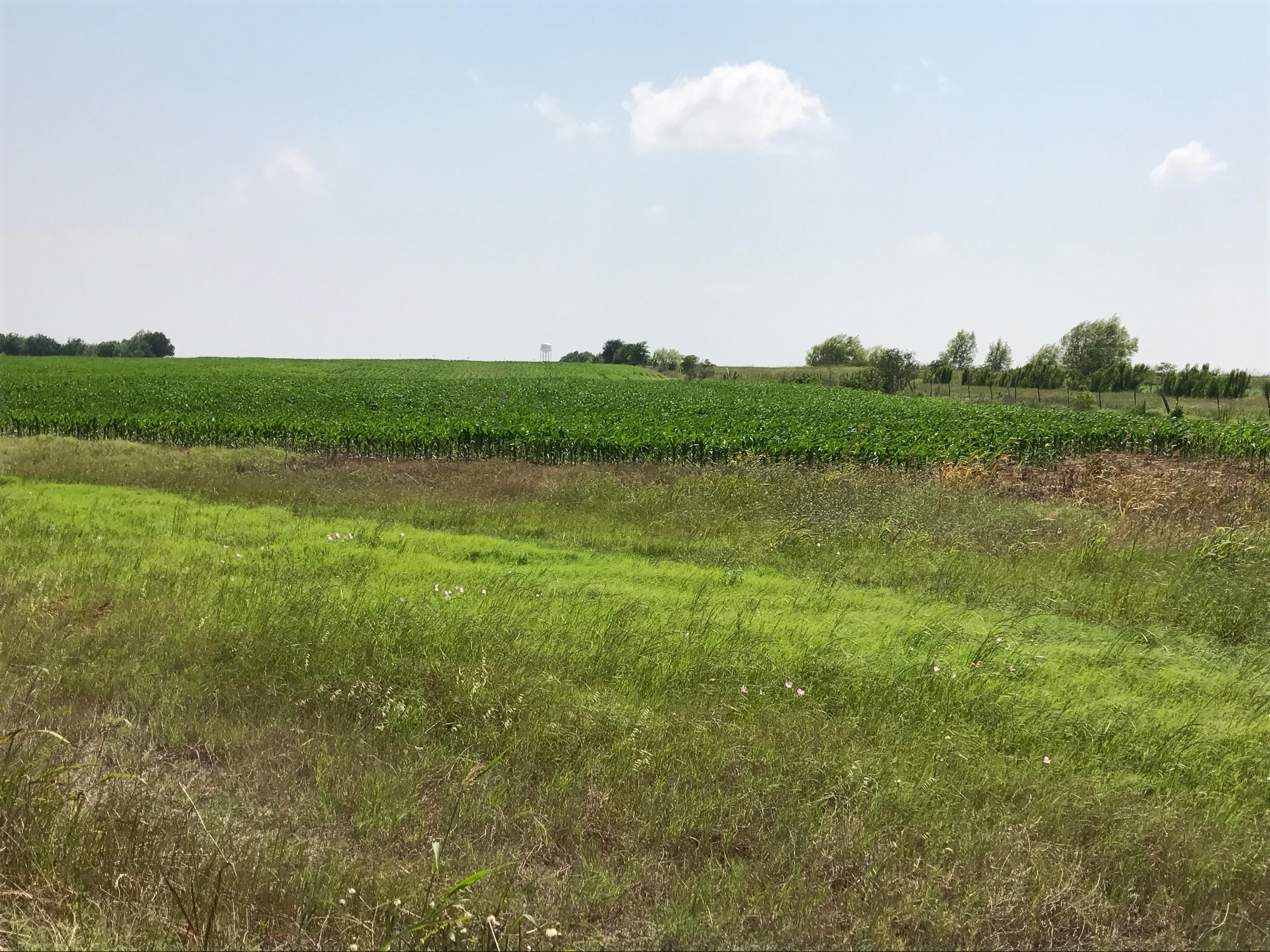 5.00 acres in Travis County, Texas