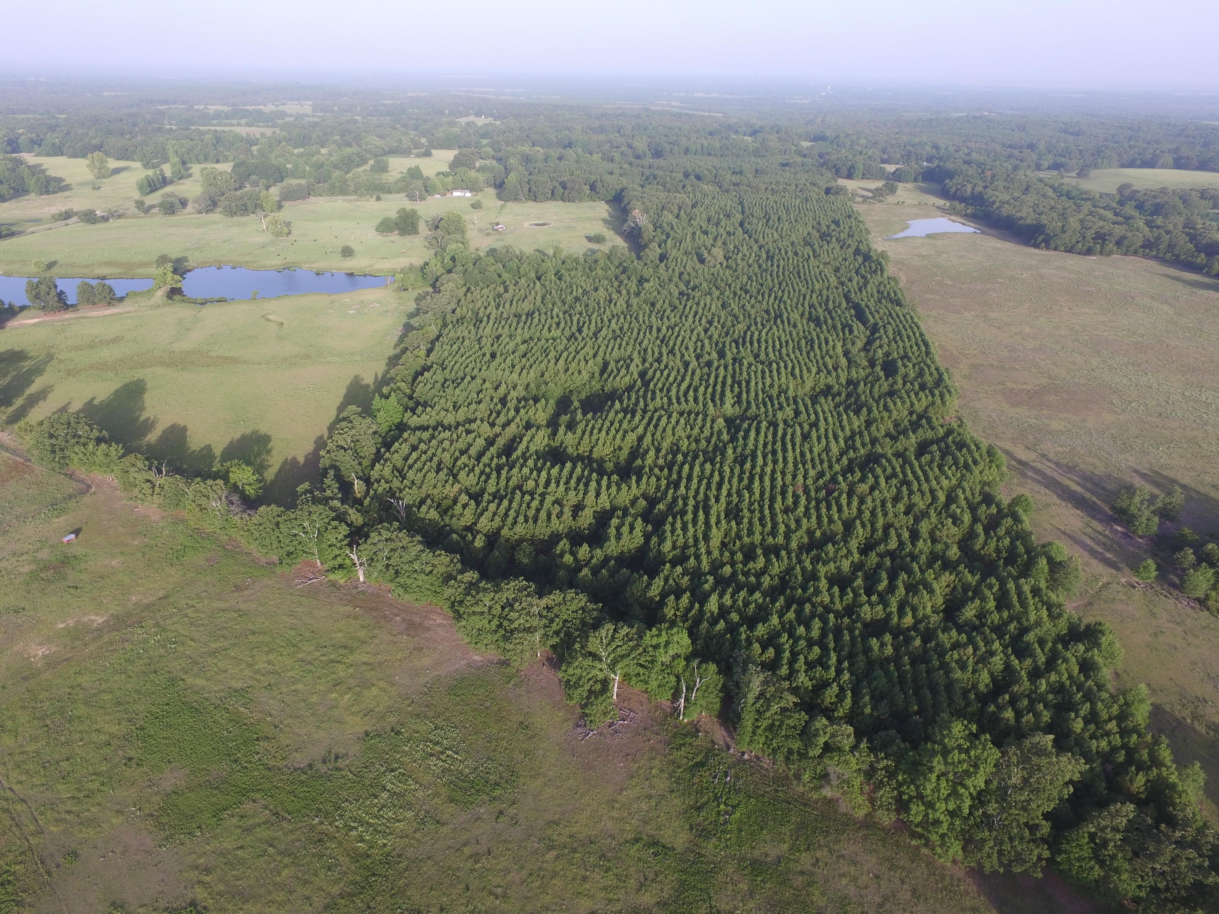 66 acres in Red River County, Texas